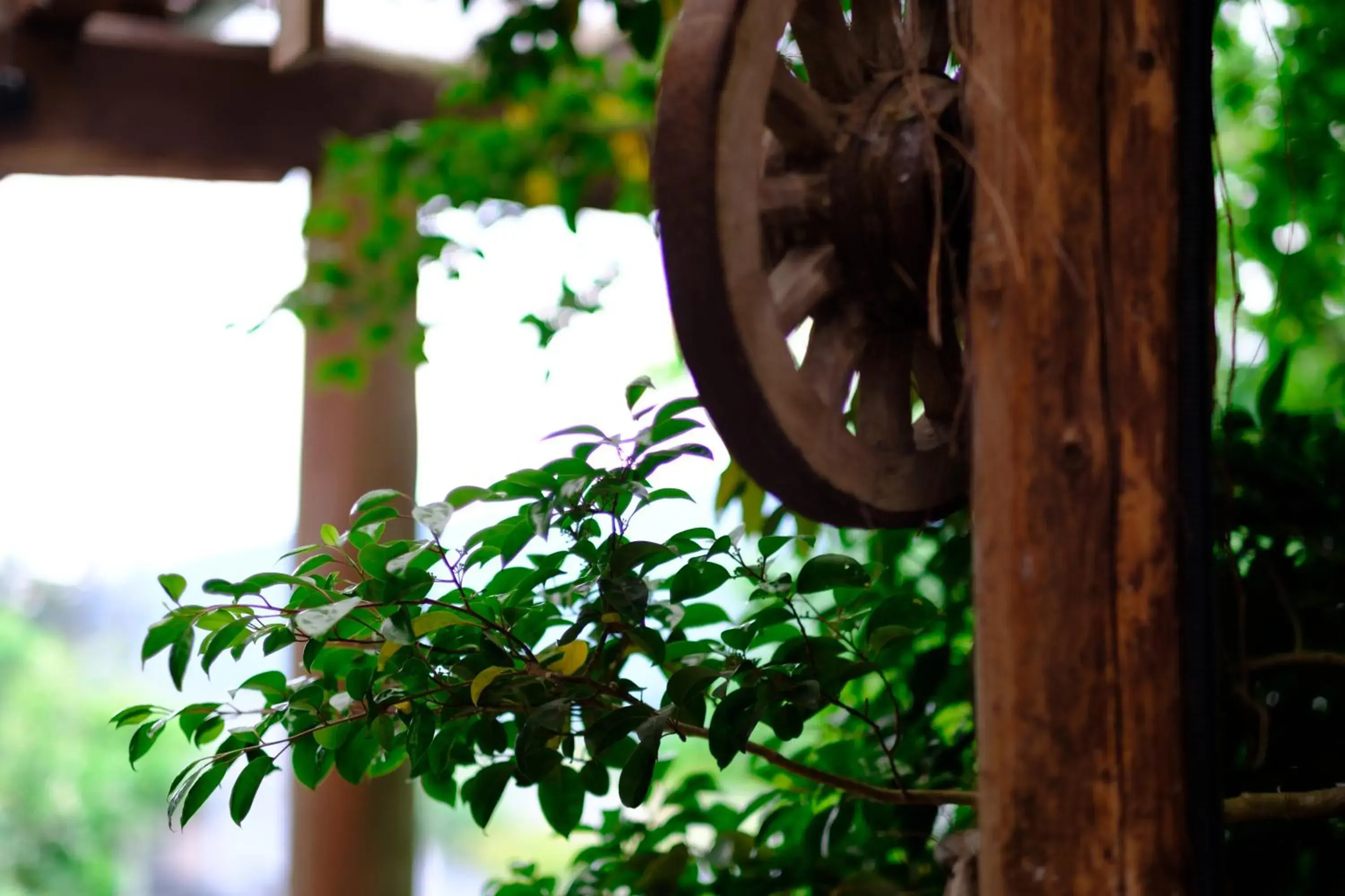 Facade/entrance in Yufuin Inakamura Inakaso Facade/entrance in Yufuin Inakamura Inakaso