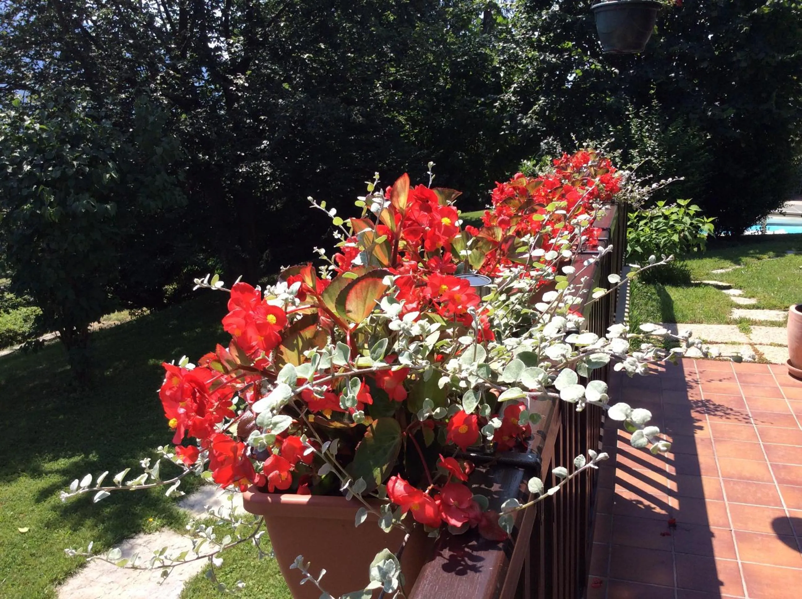 Other in Demeure d'hôtes Les Irisynes