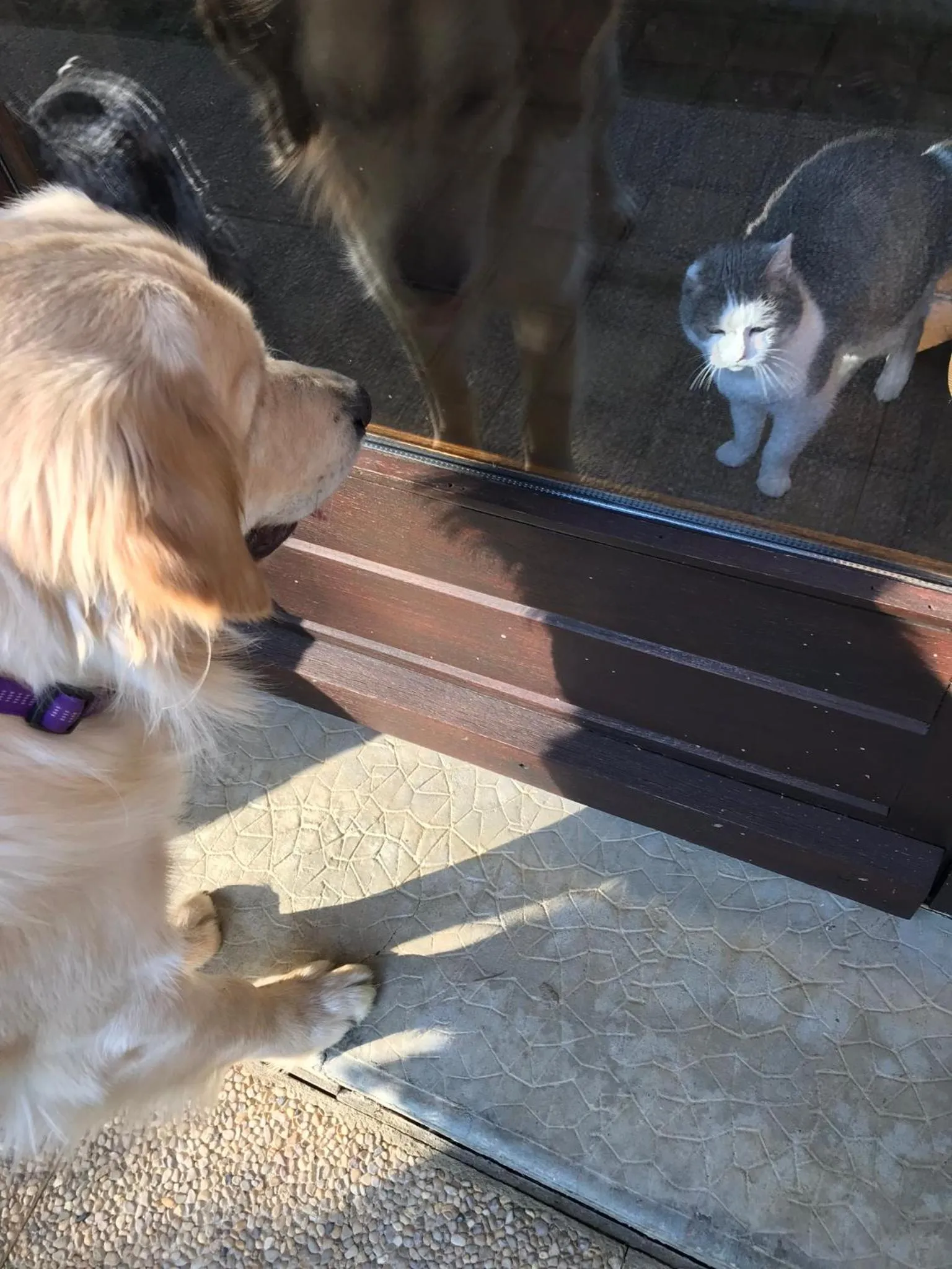 Demeure d'hôtes Les Irisynes