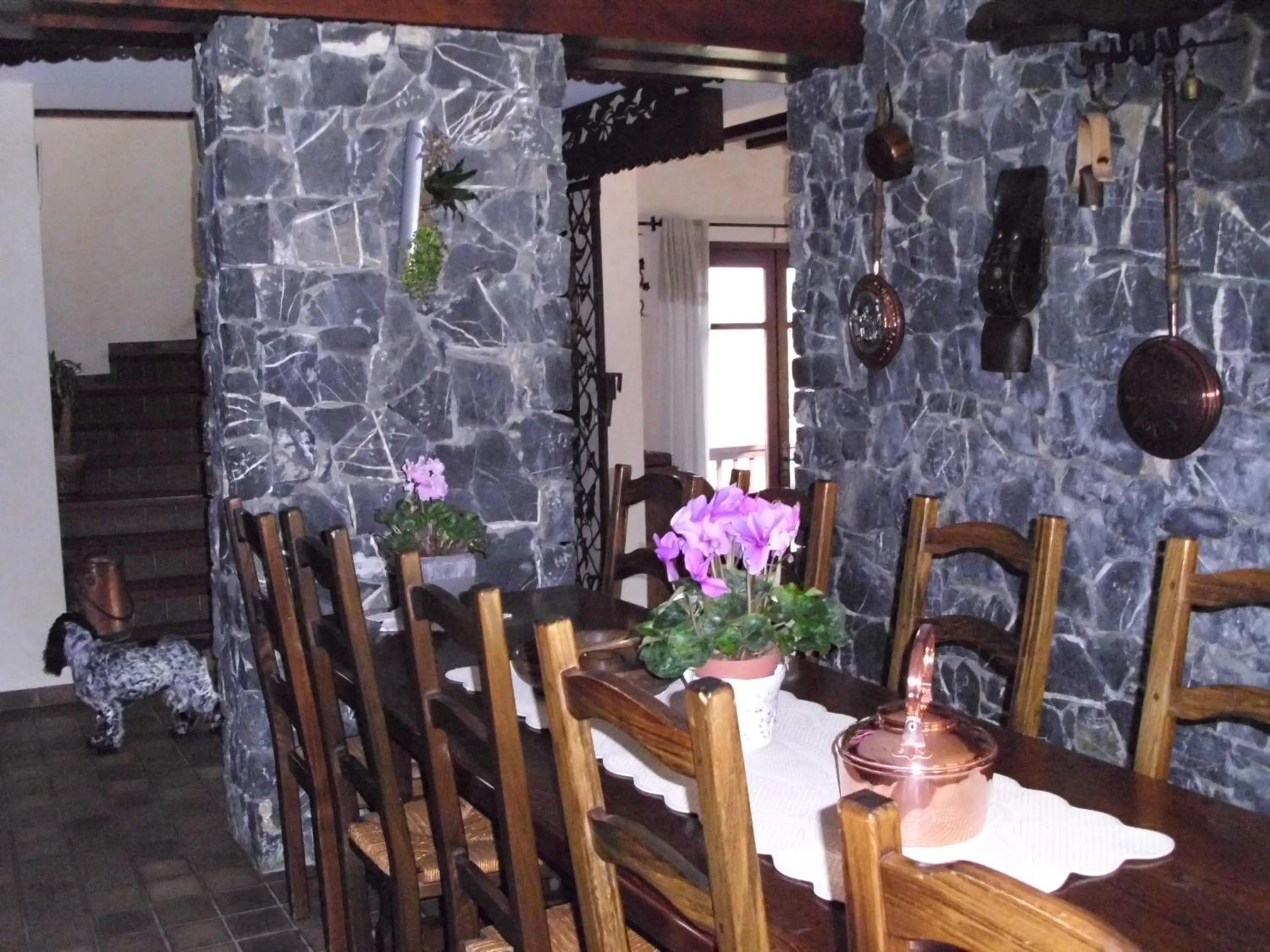 Area and facilities in Demeure d'hôtes Les Irisynes