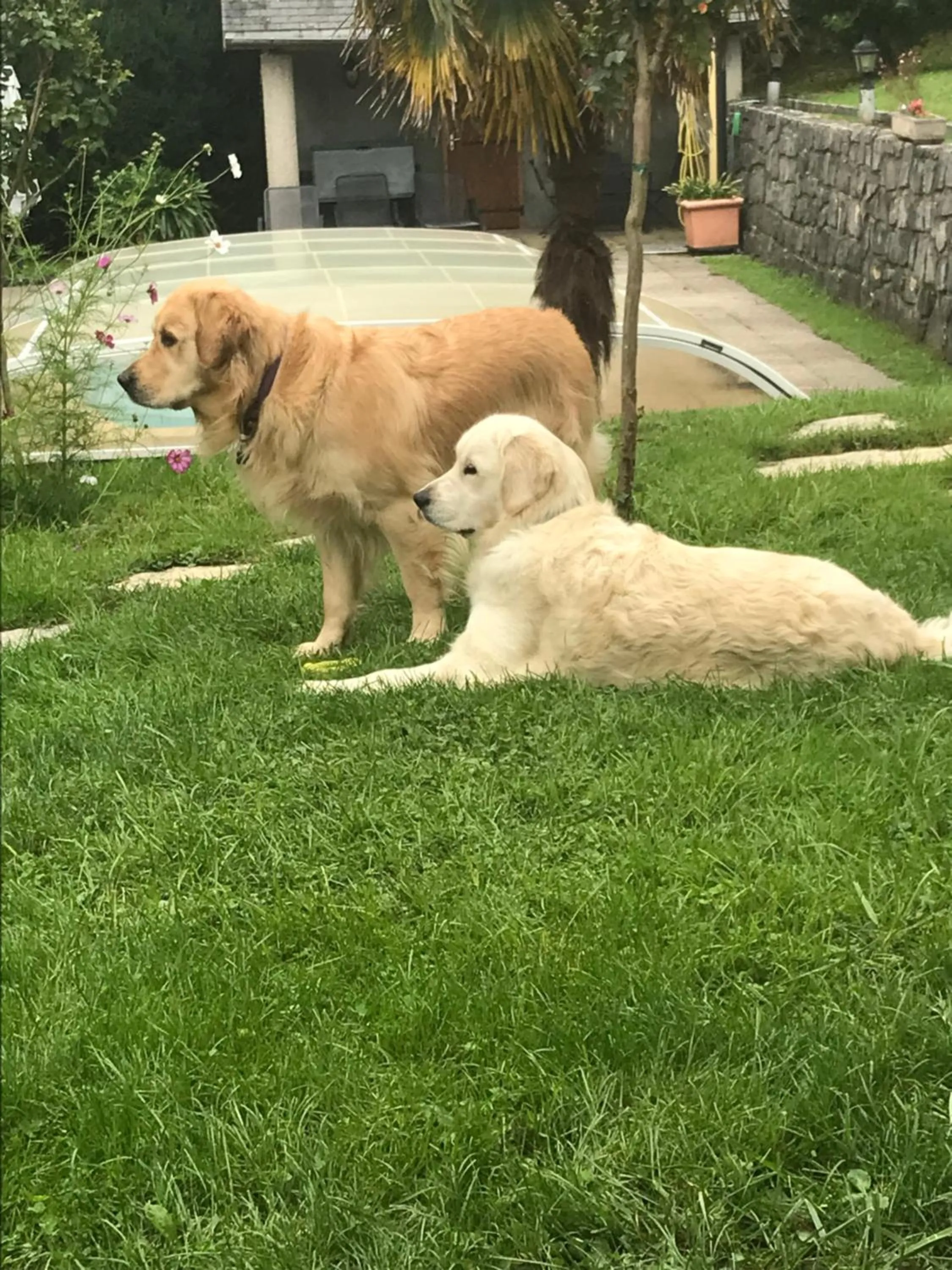 Demeure d'hôtes Les Irisynes