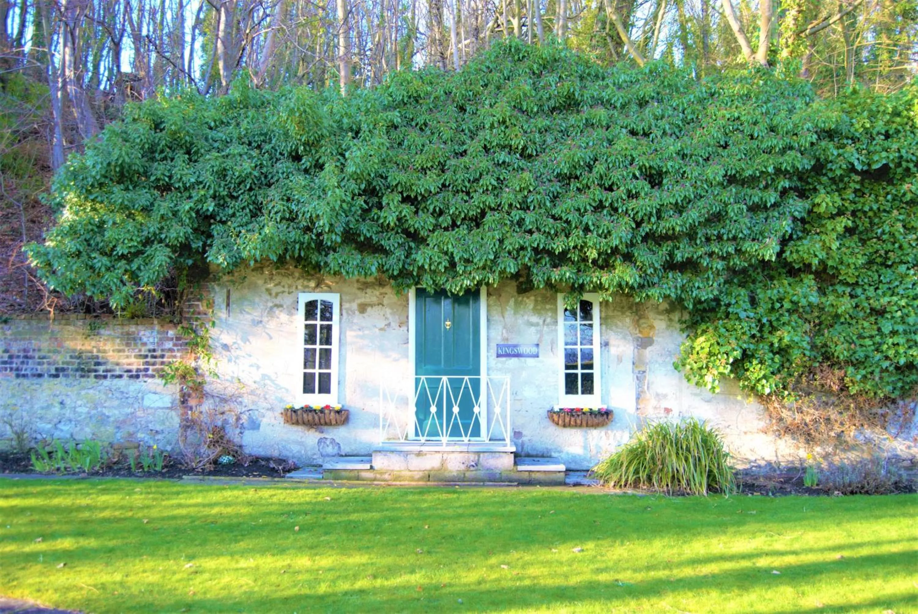 Garden in Kingswood Hotel