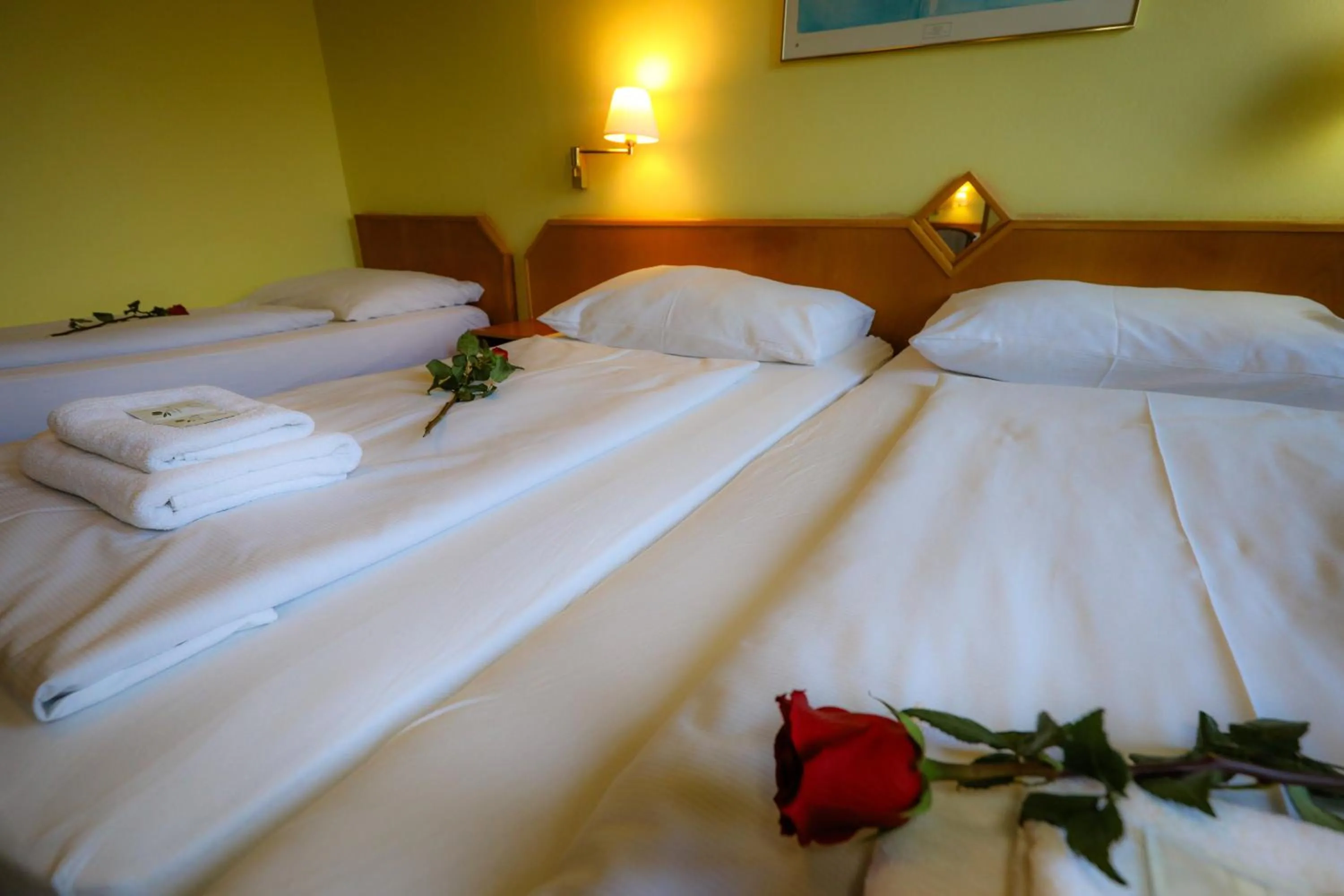 Bed in Wellness Penzion Kroměříž - Zlobice