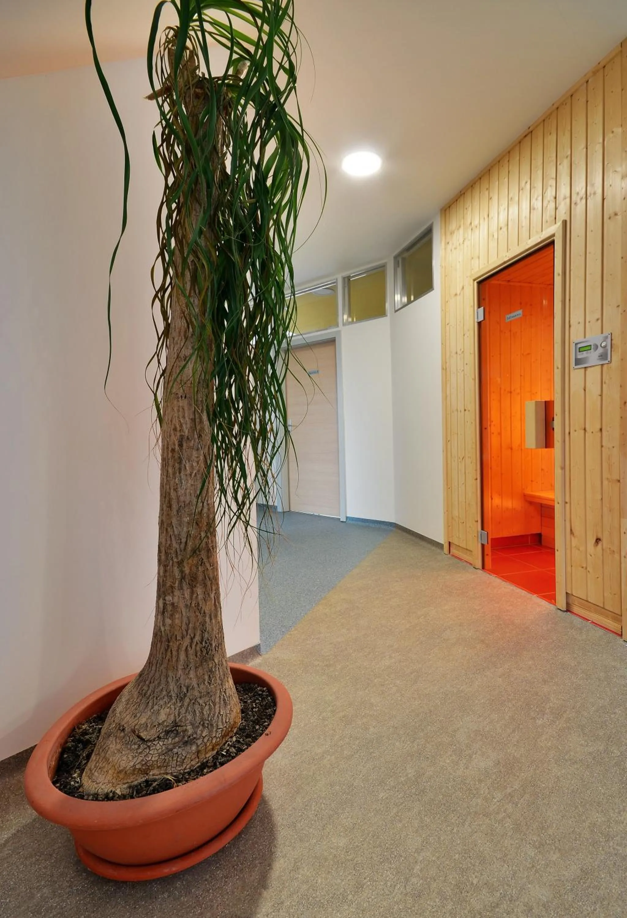 Sauna in Wellness Penzion Kroměříž - Zlobice