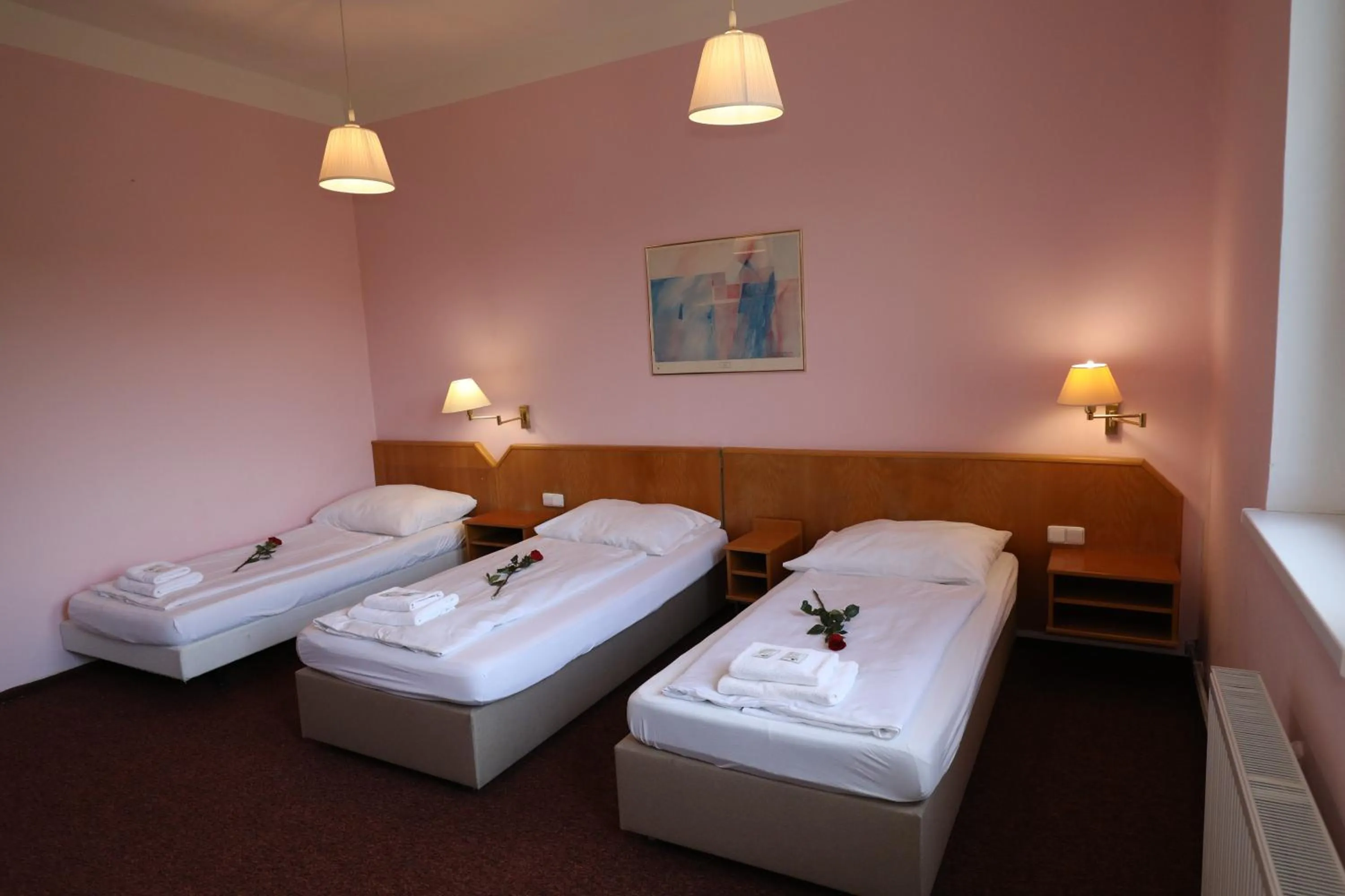 Photo of the whole room in Wellness Penzion Kroměříž - Zlobice