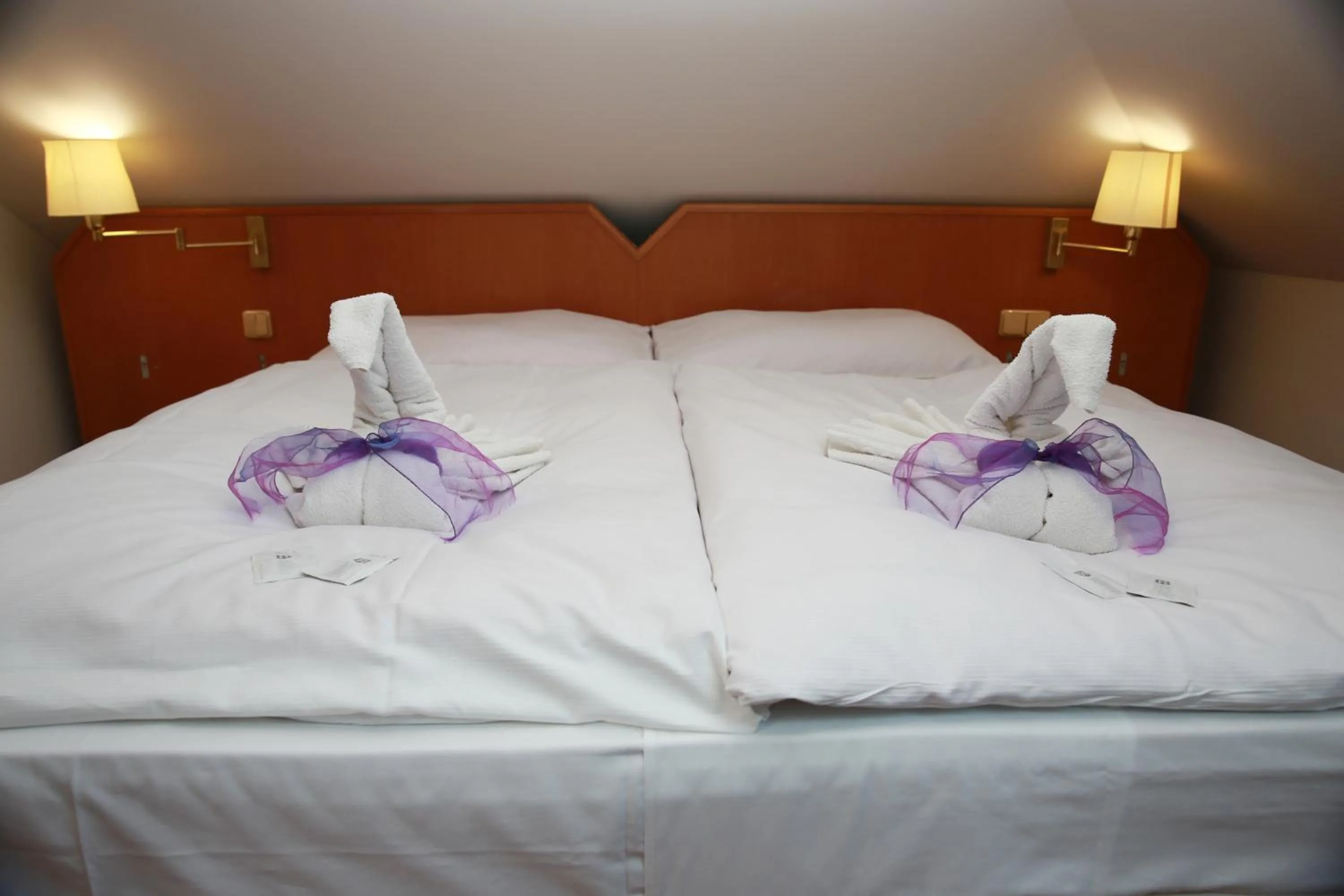 Bedroom, Bed in Wellness Penzion Kroměříž - Zlobice