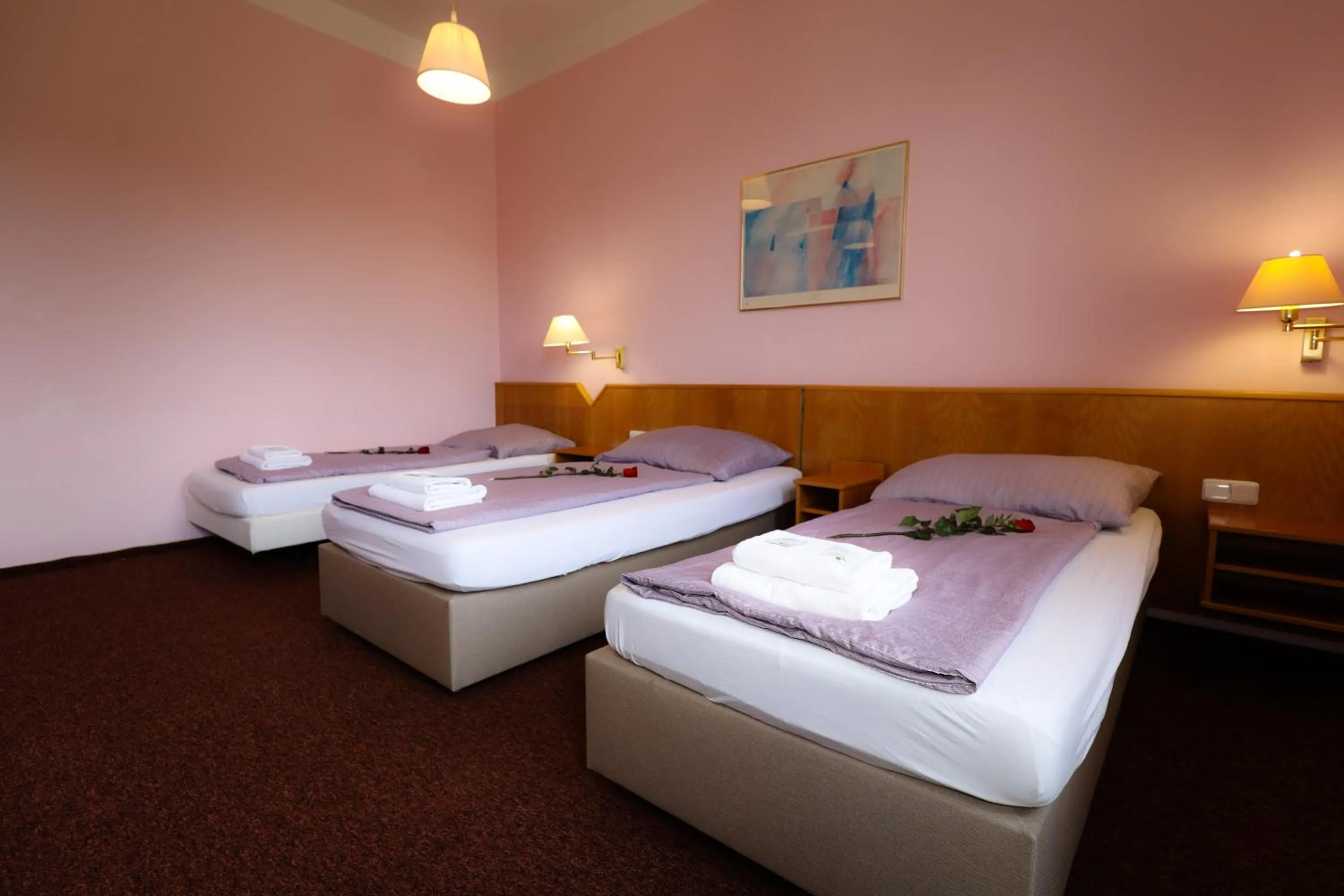 Bedroom, Bed in Wellness Penzion Kroměříž - Zlobice