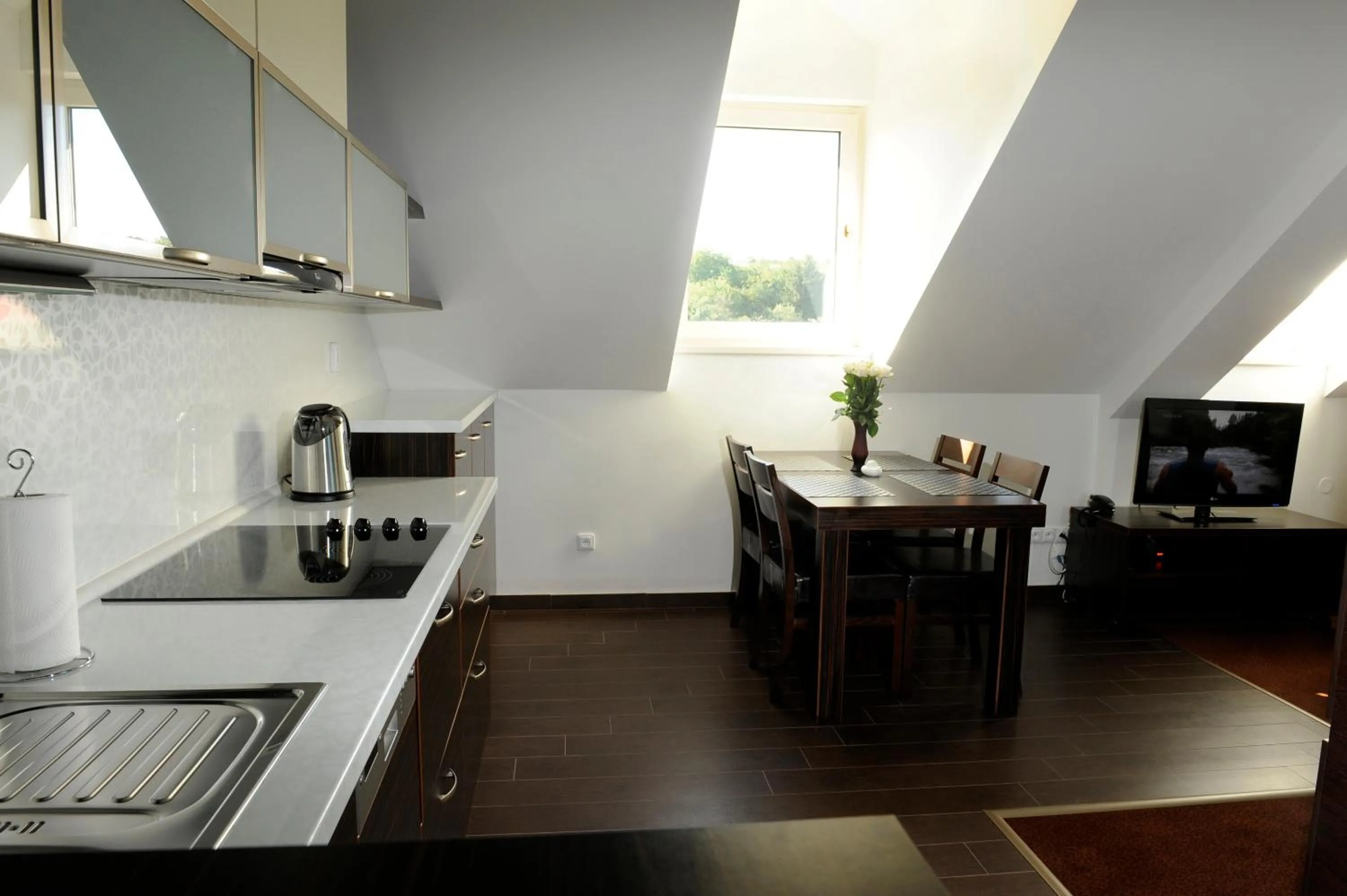 dishwasher in Wellness Penzion Kroměříž - Zlobice