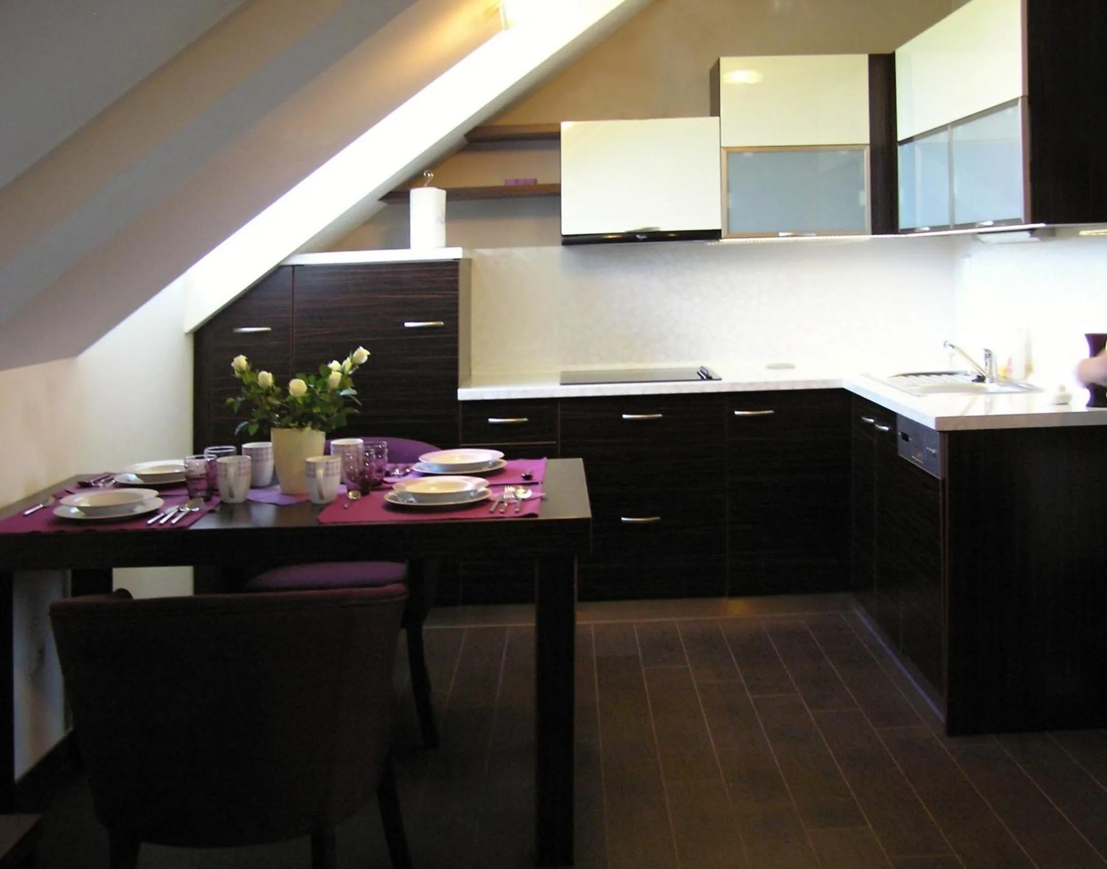 Kitchen or kitchenette in Wellness Penzion Kroměříž - Zlobice