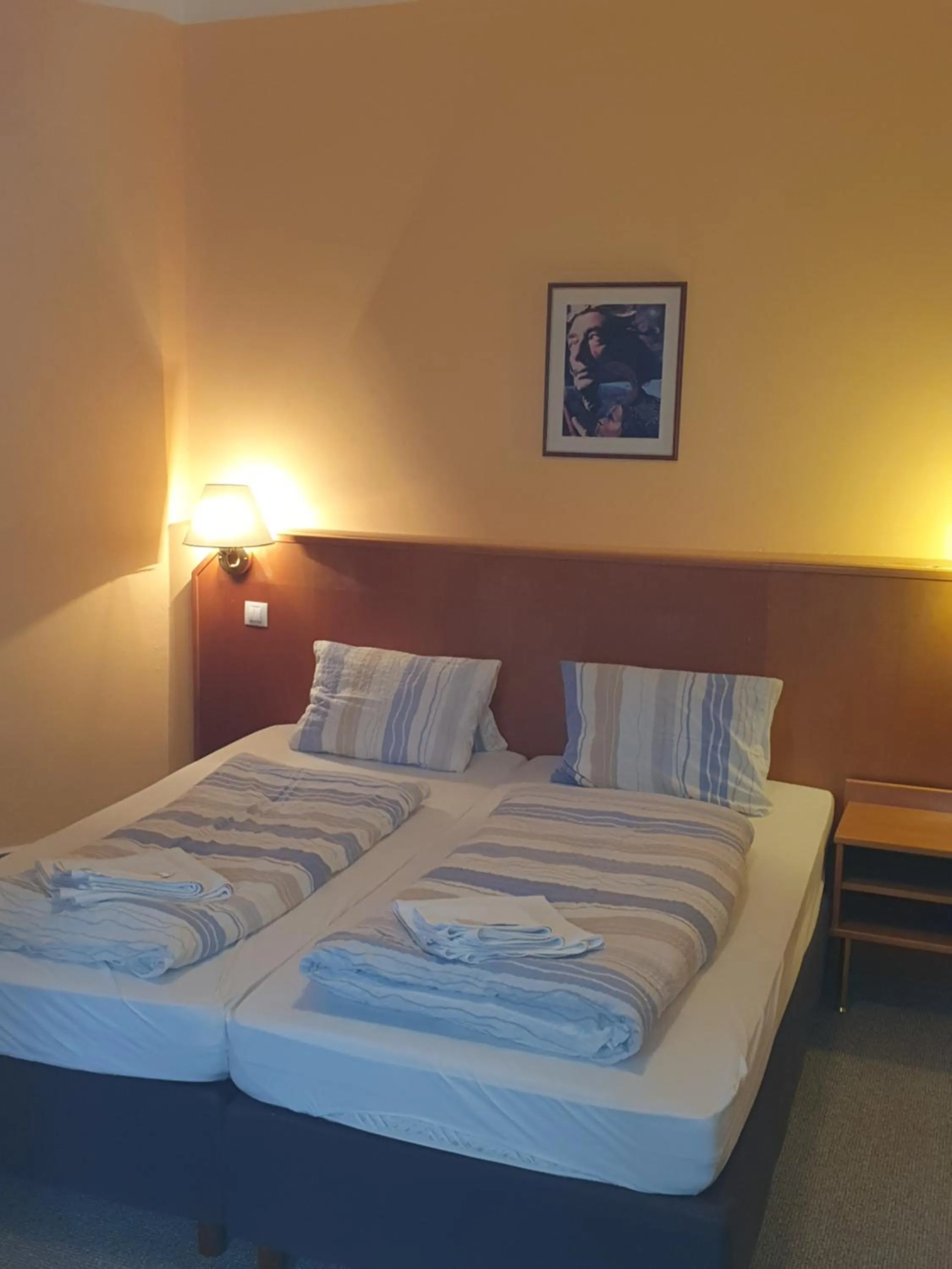 Bedroom, Bed in Wellness Penzion Kroměříž - Zlobice