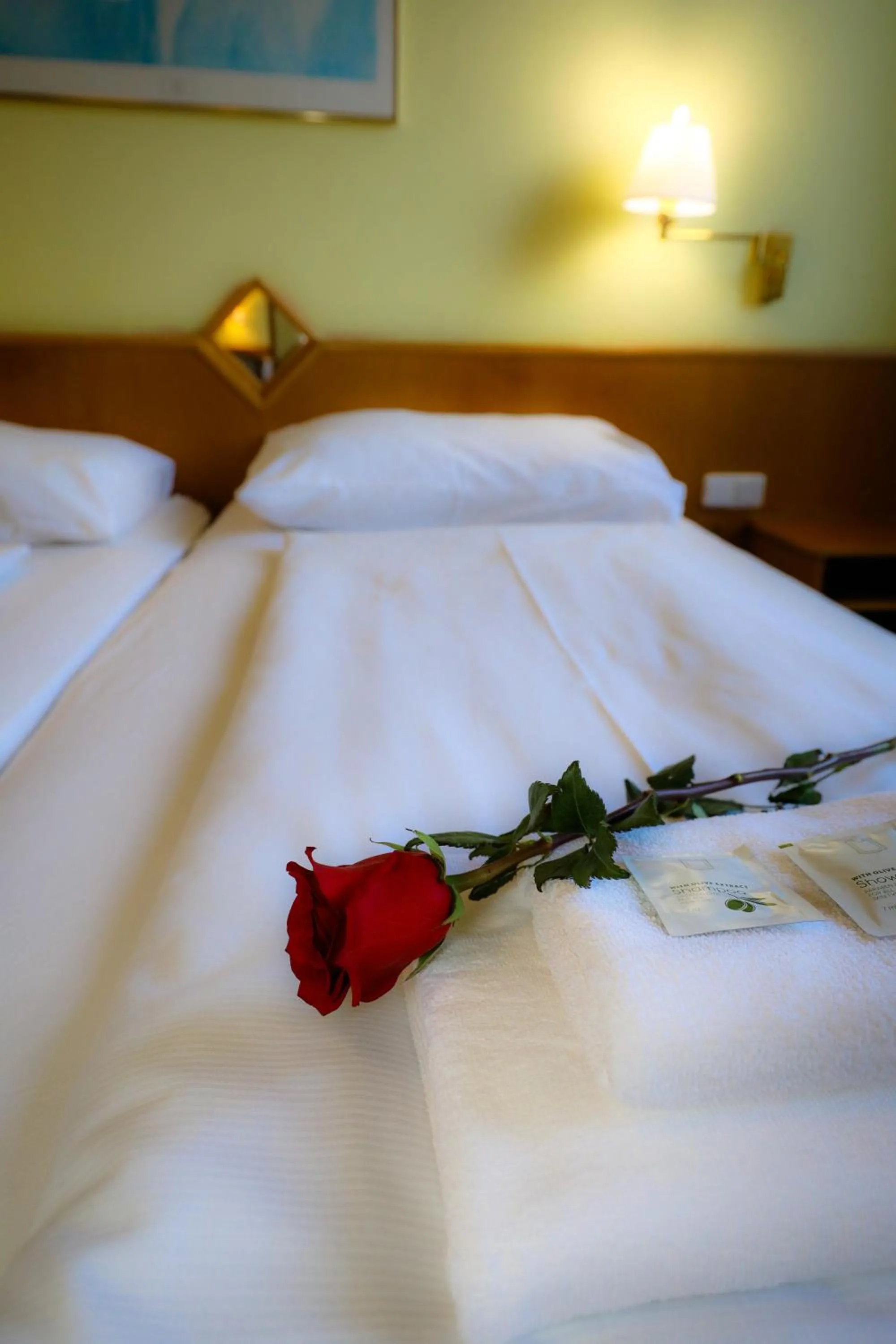 Bedroom, Bed in Wellness Penzion Kroměříž - Zlobice