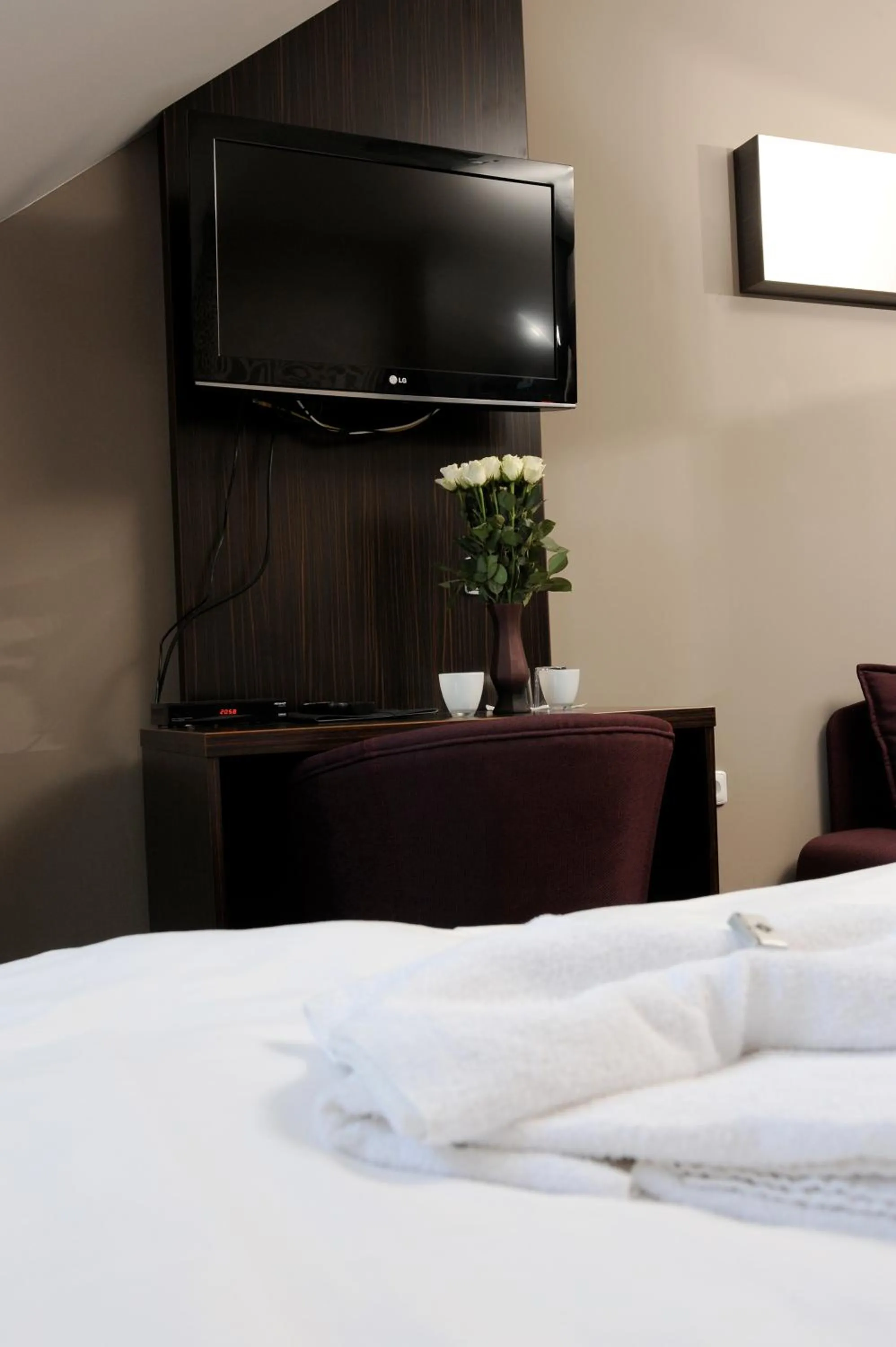 TV and multimedia, Bed in Wellness Penzion Kroměříž - Zlobice