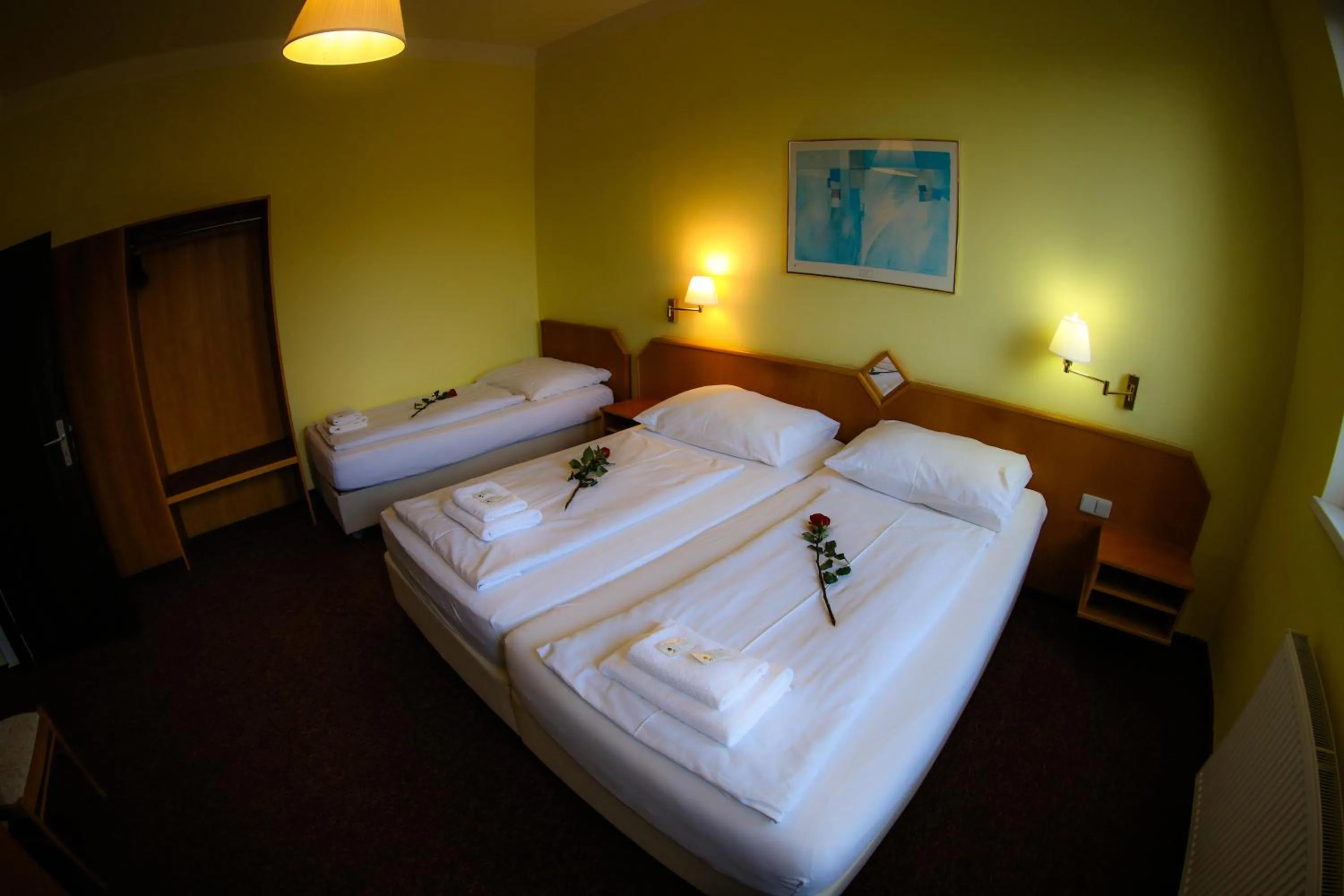 Photo of the whole room, Bed in Wellness Penzion Kroměříž - Zlobice
