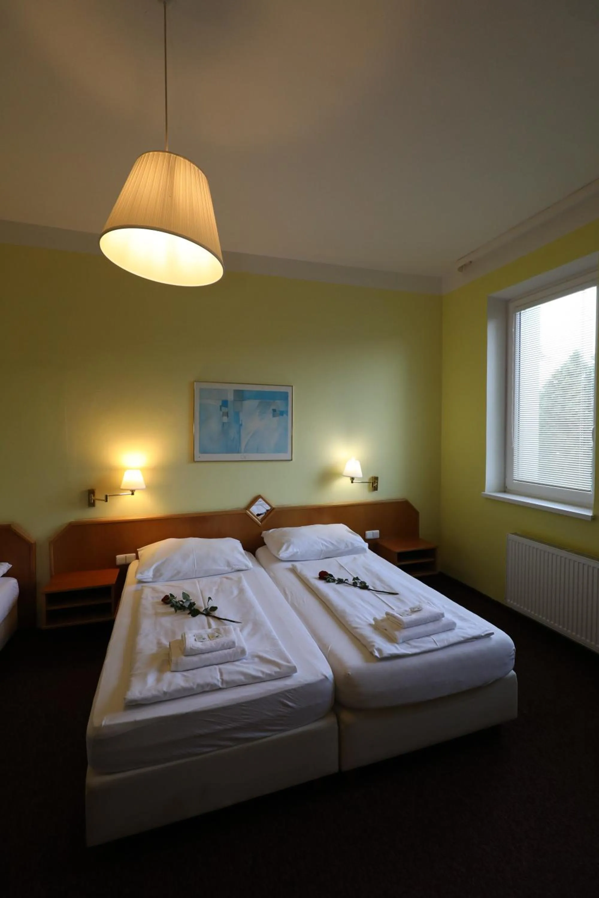 Photo of the whole room, Bed in Wellness Penzion Kroměříž - Zlobice