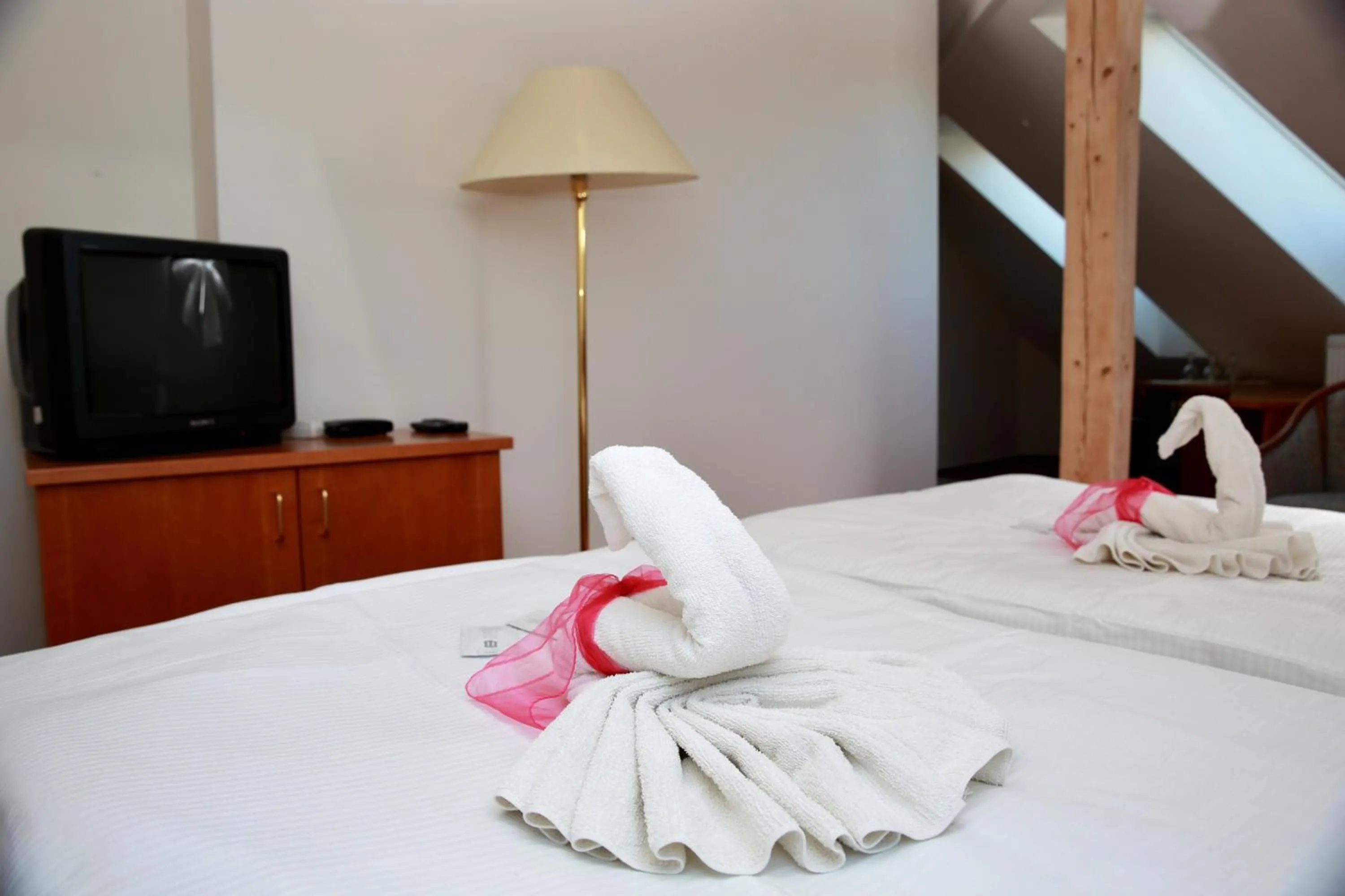 TV and multimedia, Bed in Wellness Penzion Kroměříž - Zlobice