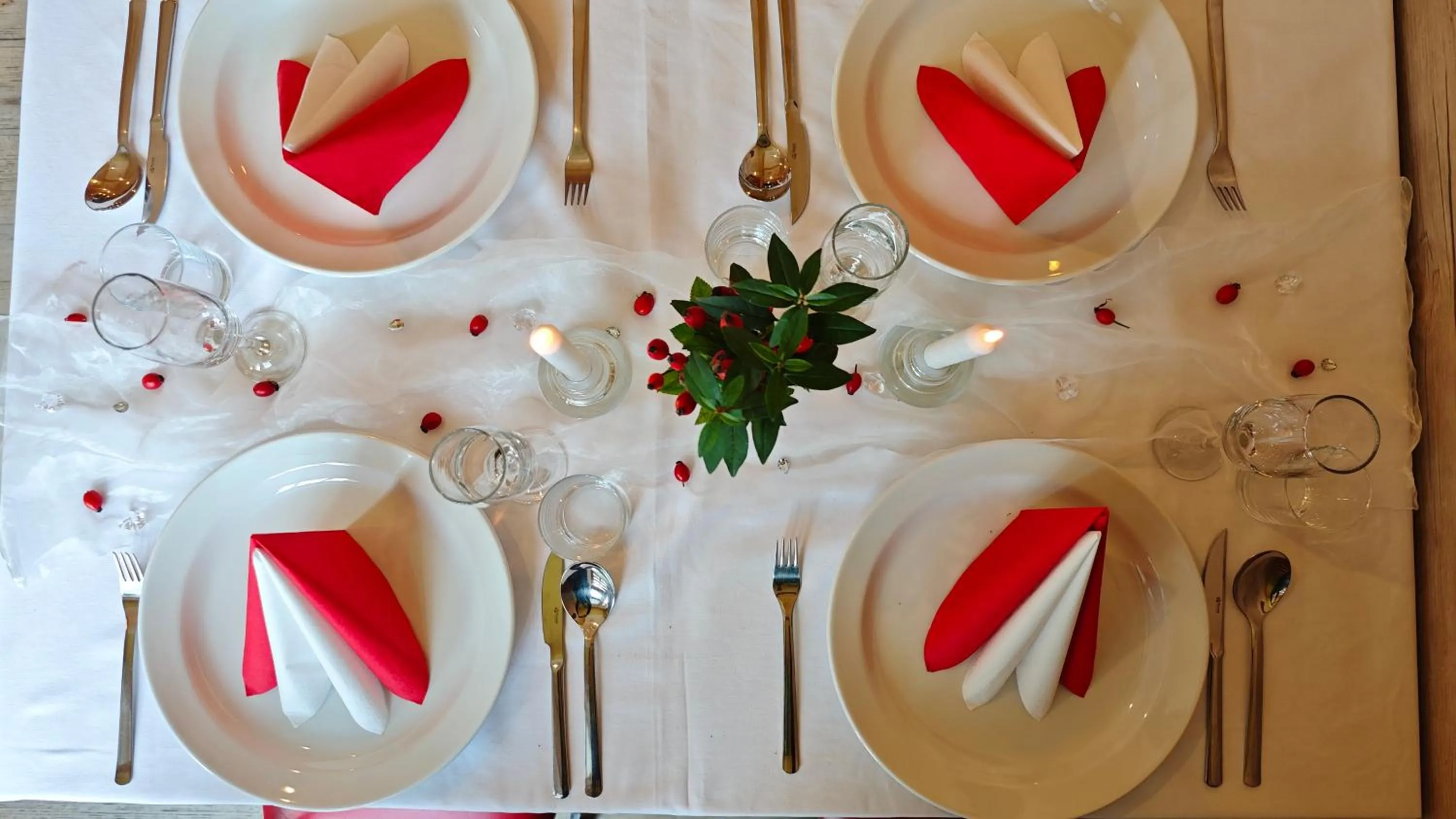 Food and drinks in Wellness Penzion Kroměříž - Zlobice