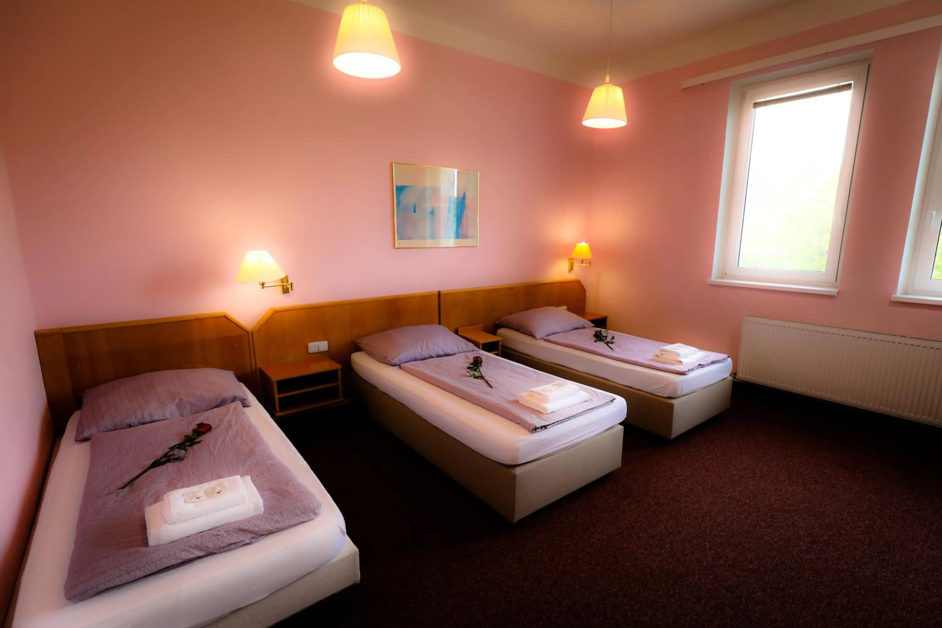 Photo of the whole room, Bed in Wellness Penzion Kroměříž - Zlobice