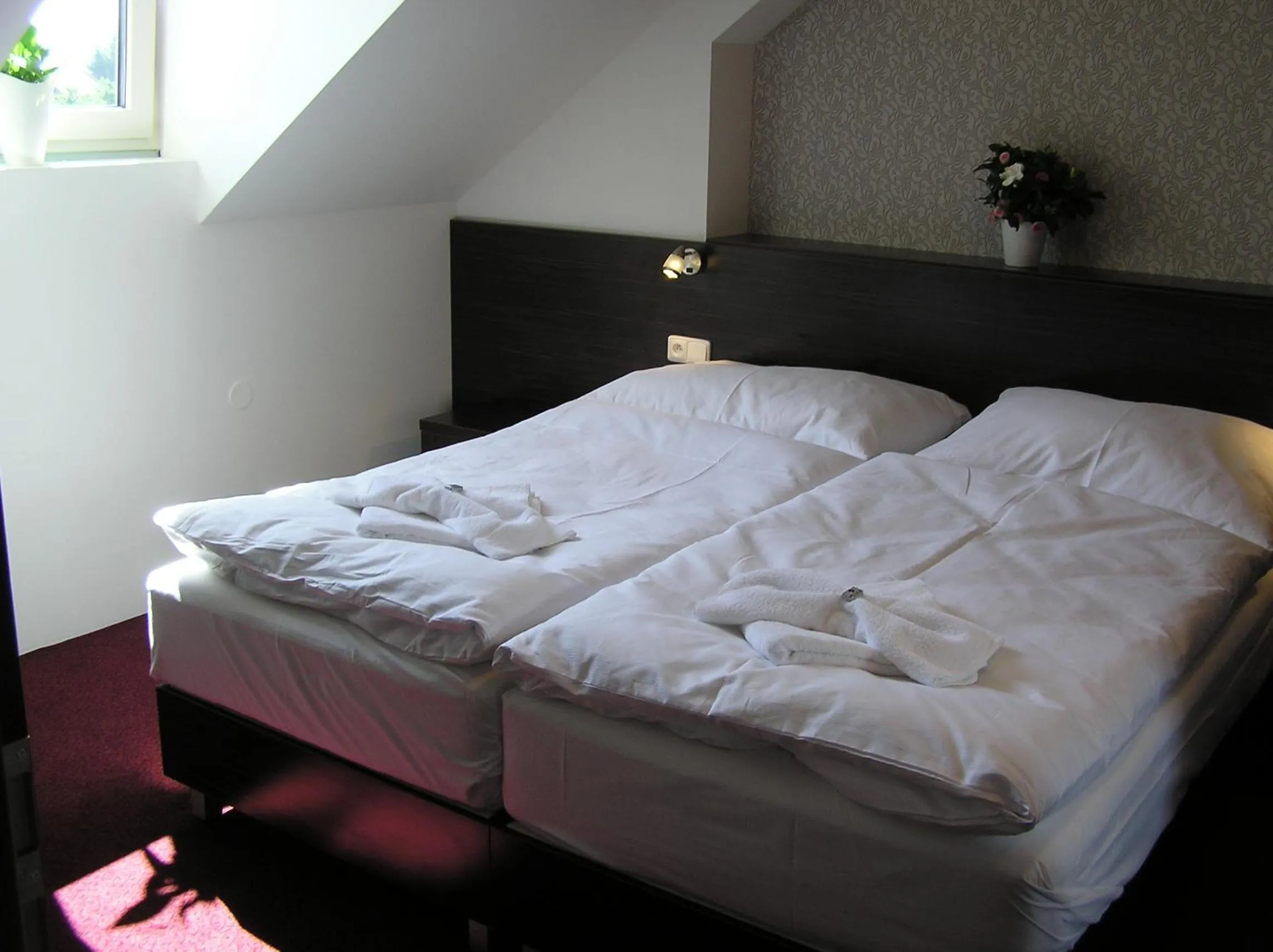 Photo of the whole room, Bed in Wellness Penzion Kroměříž - Zlobice