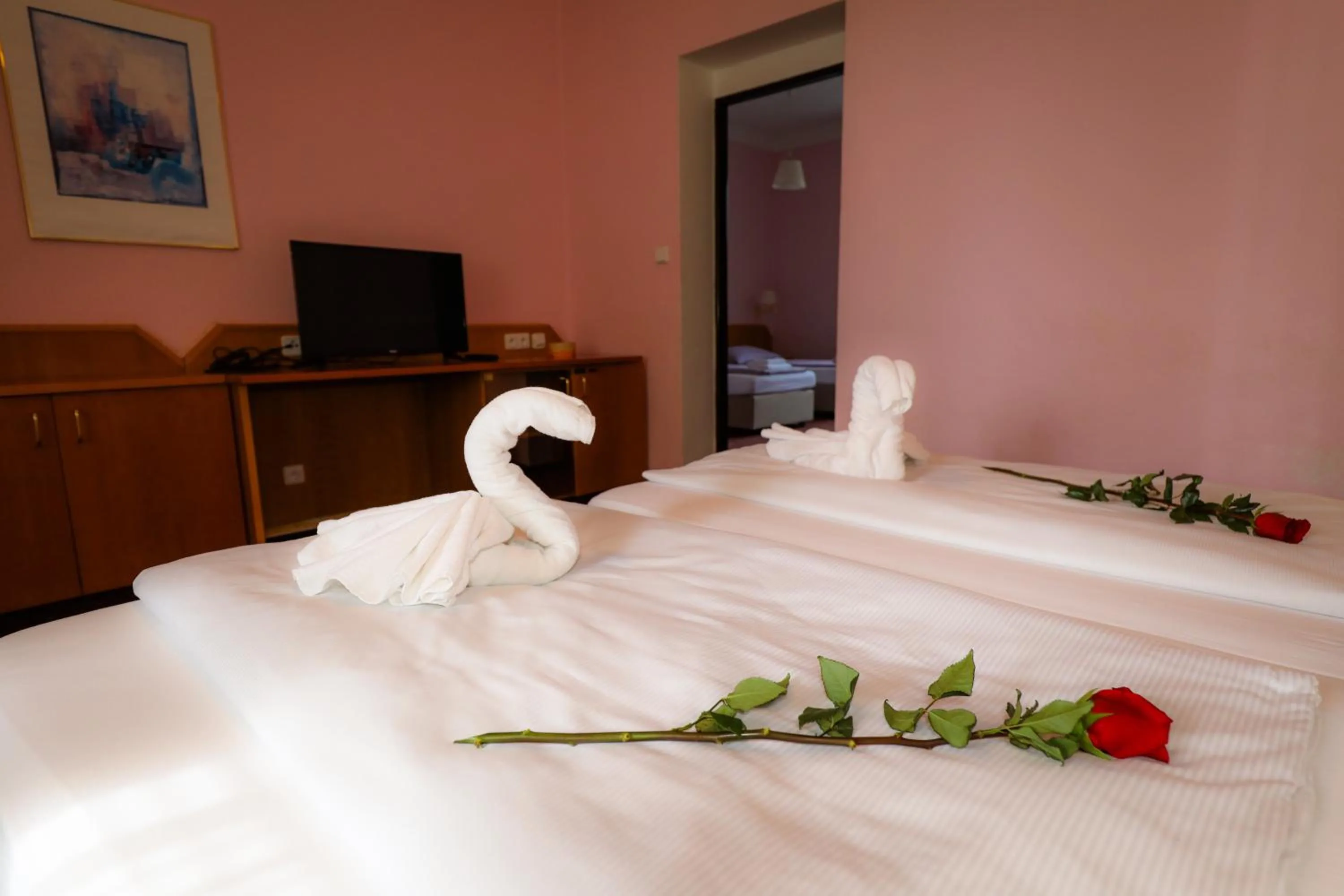 Photo of the whole room, Bed in Wellness Penzion Kroměříž - Zlobice