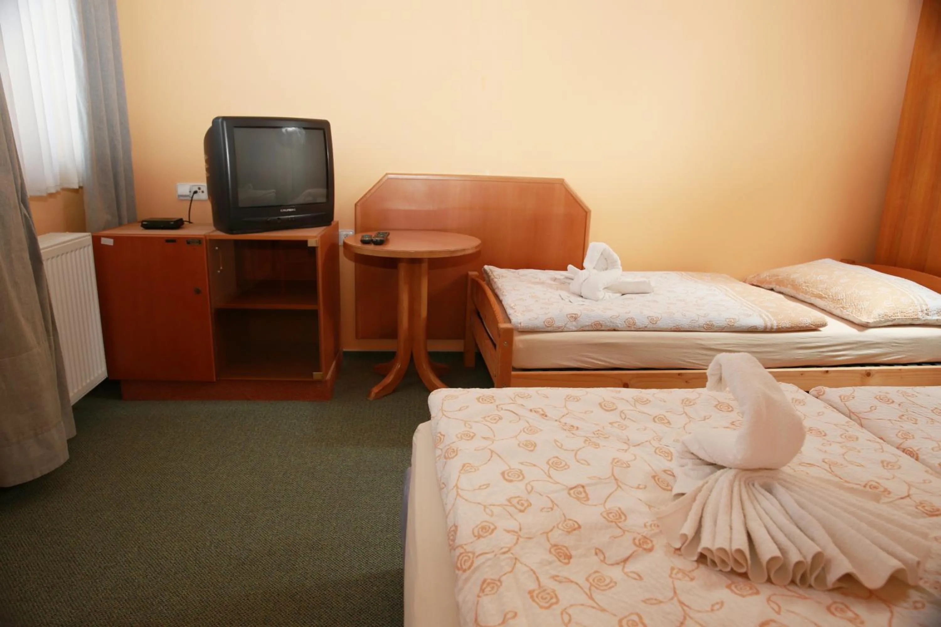 TV and multimedia, Bed in Wellness Penzion Kroměříž - Zlobice