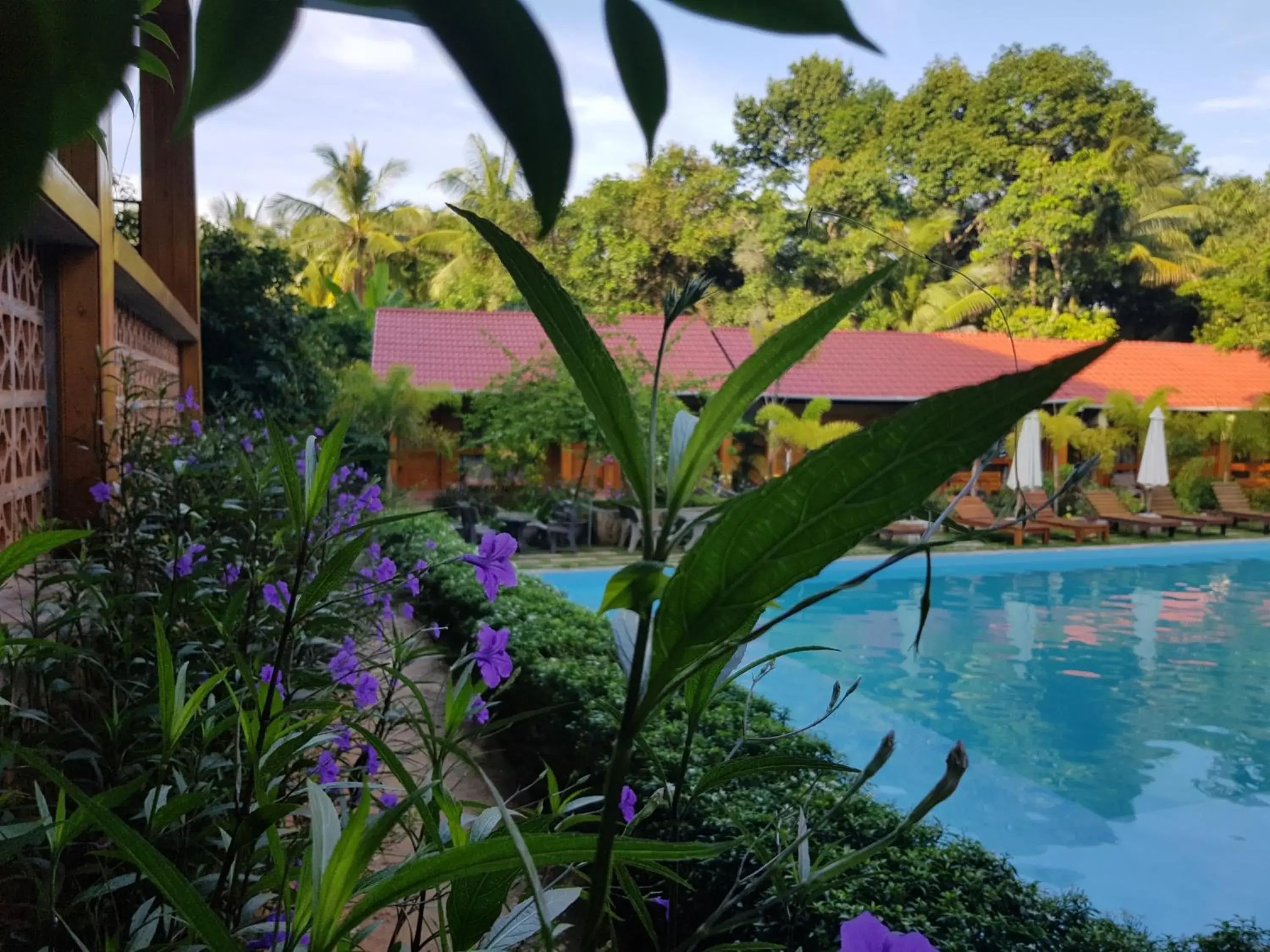 Swimming pool in Azura Resort Phu Quoc Swimming pool in Azura Resort Phu Quoc