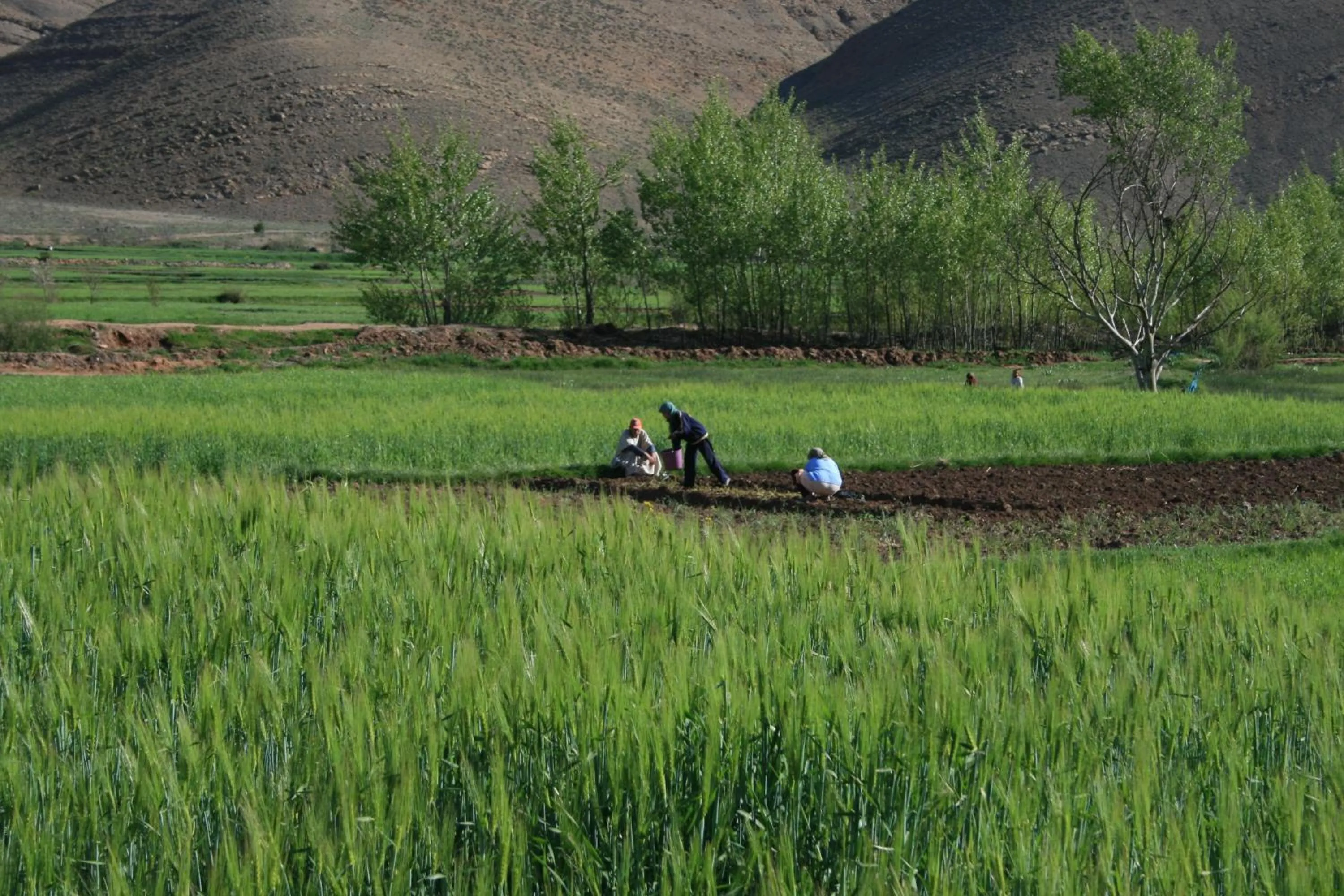 Kasbah Tigmi N'Oufella