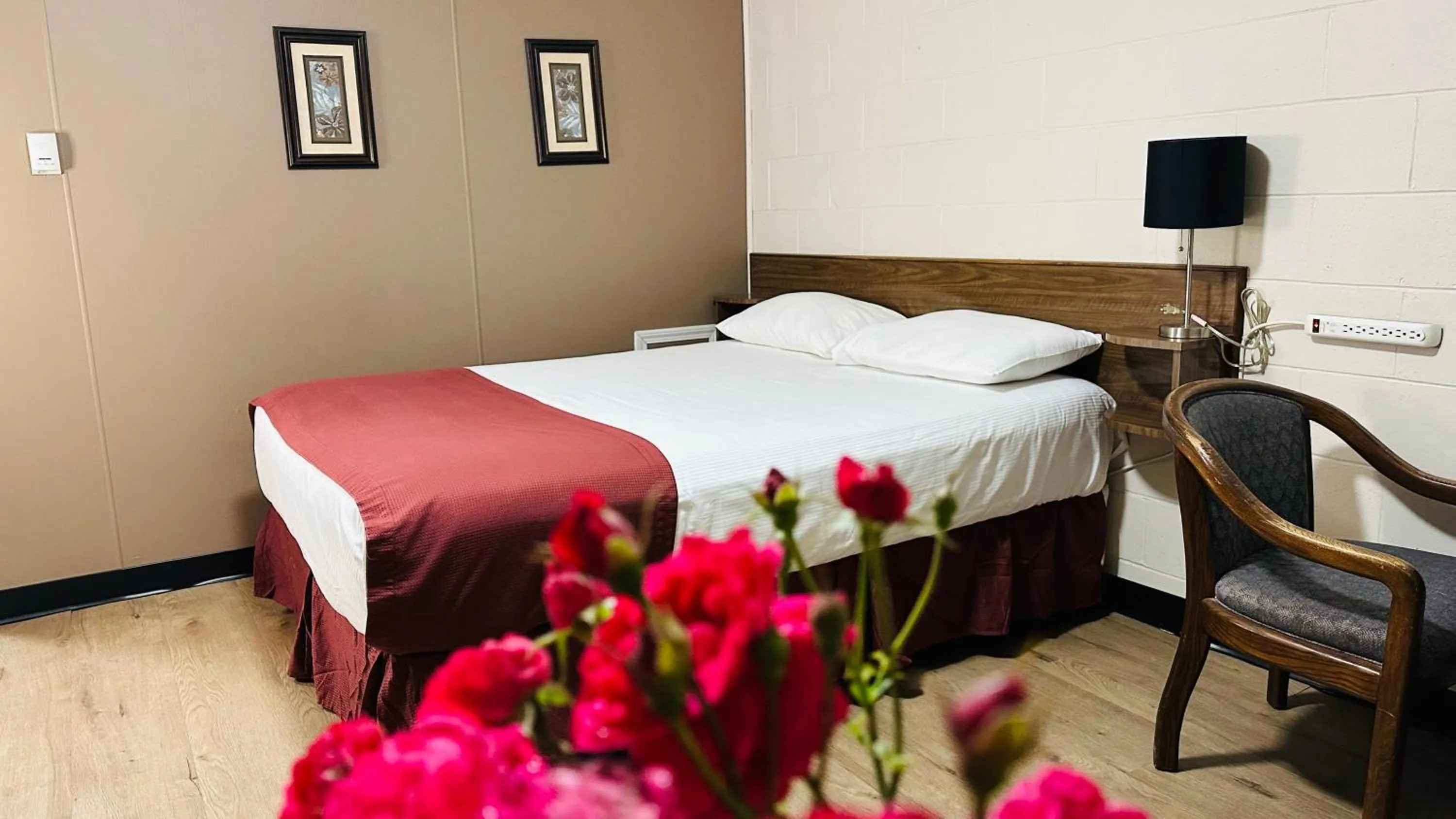 Bed in Travellers Motel