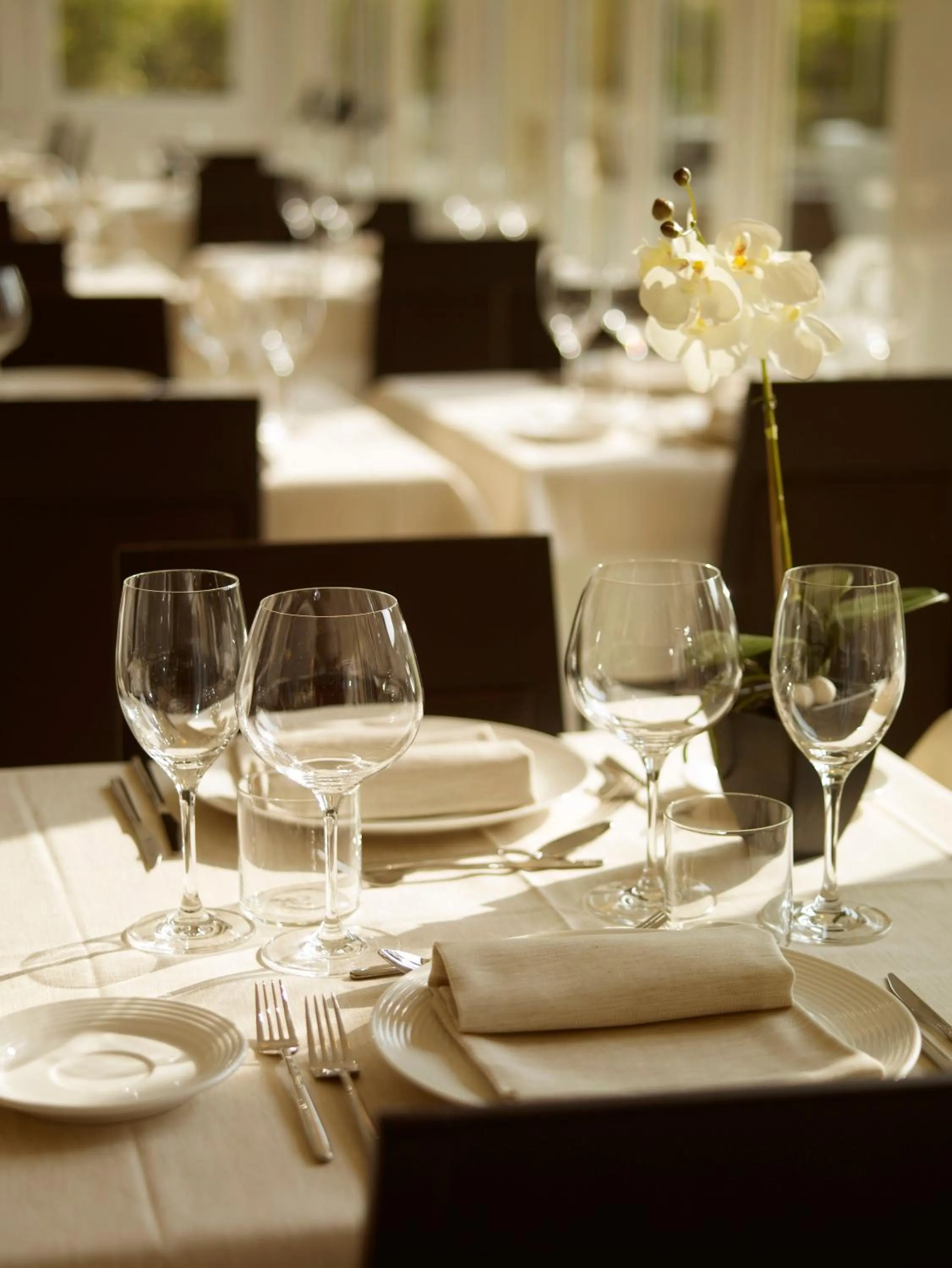 Restaurant/places to eat in Virginia Palace Hotel