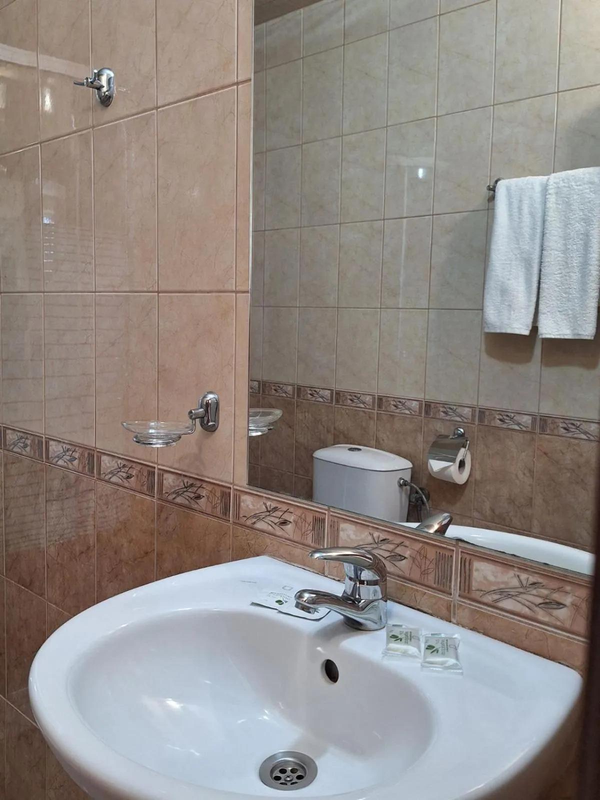 Shower in Hotel Elica