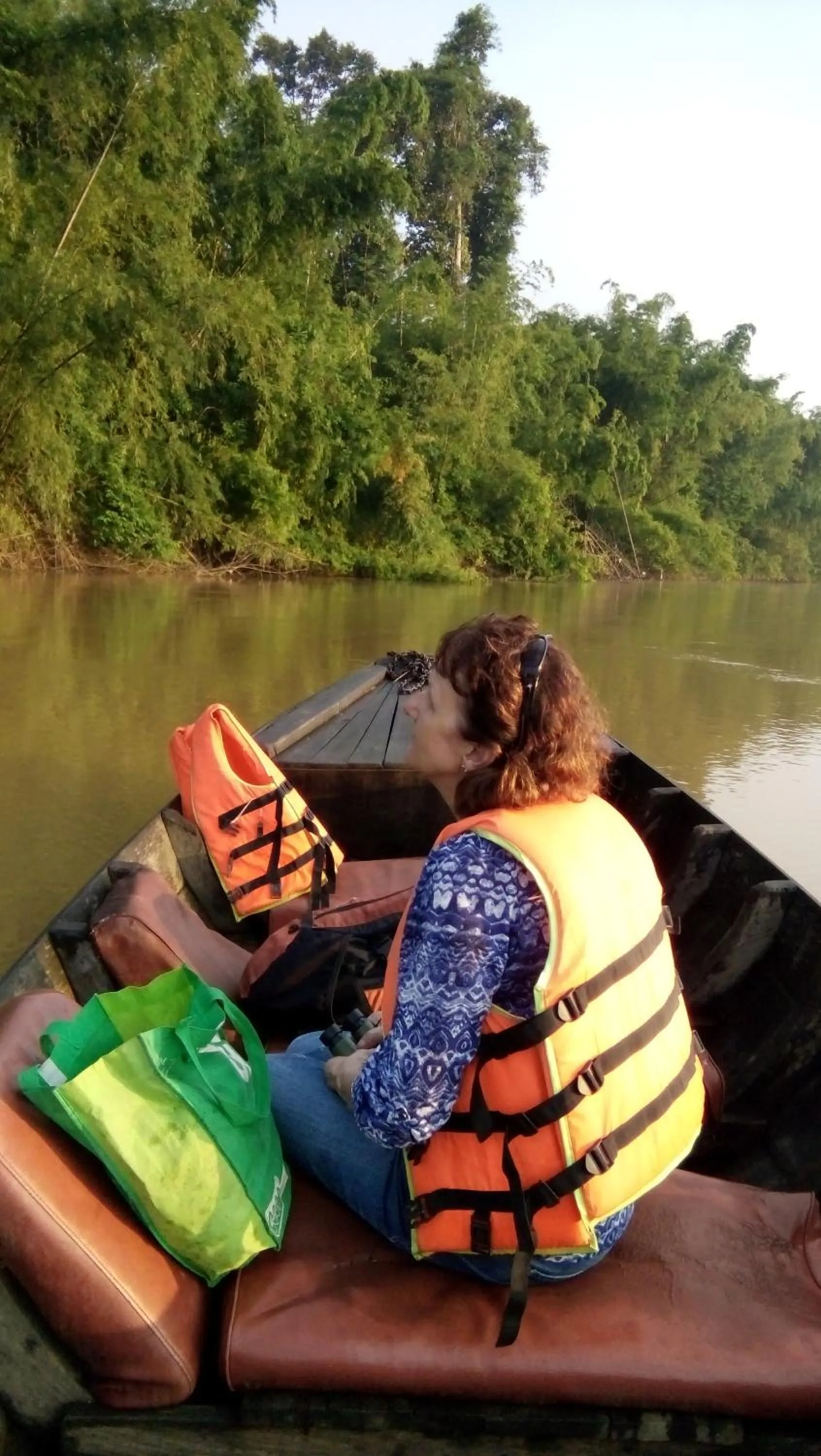 Gibbon Singing Home Stay