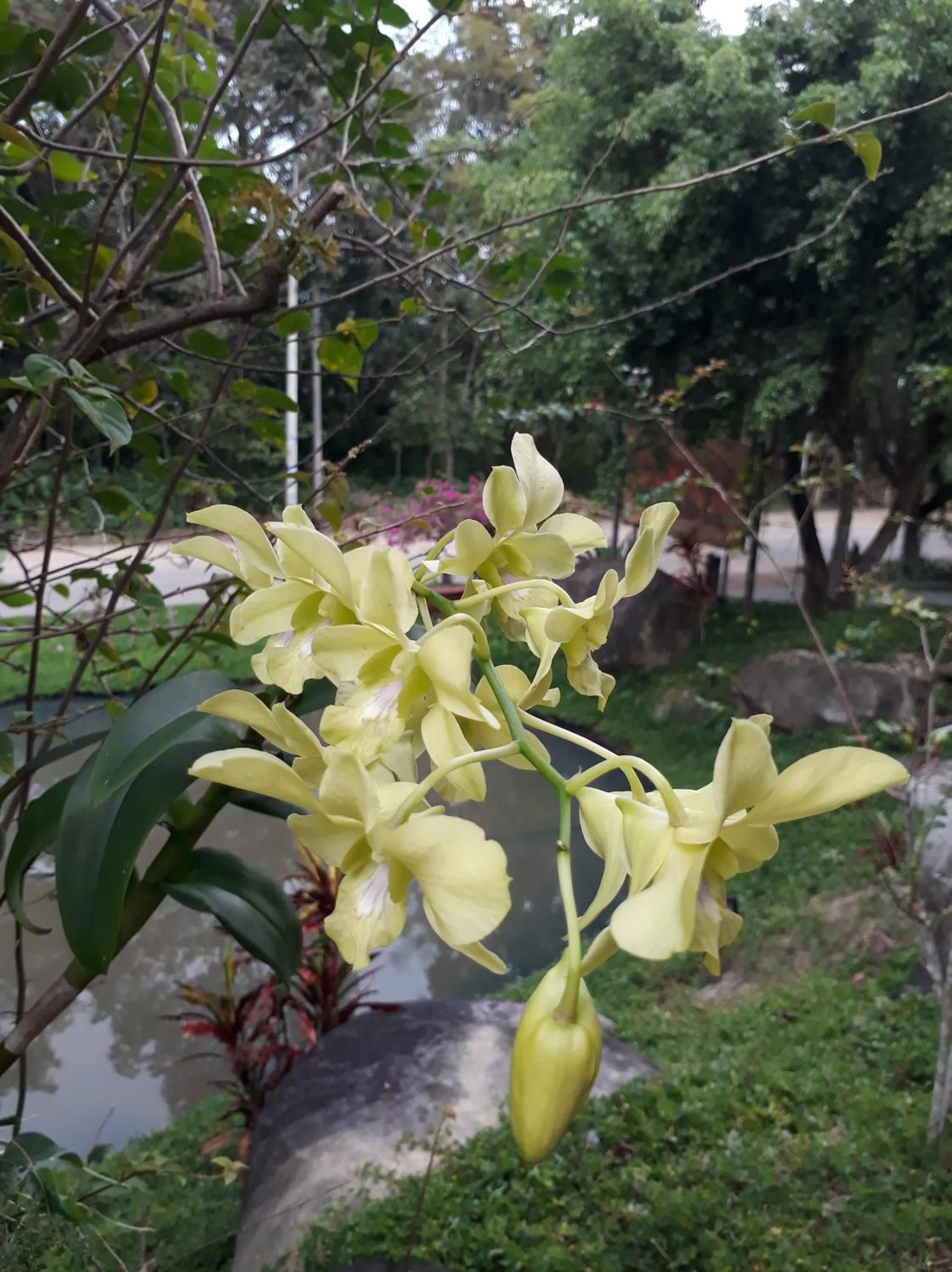 Property building in Gibbon Singing Home Stay