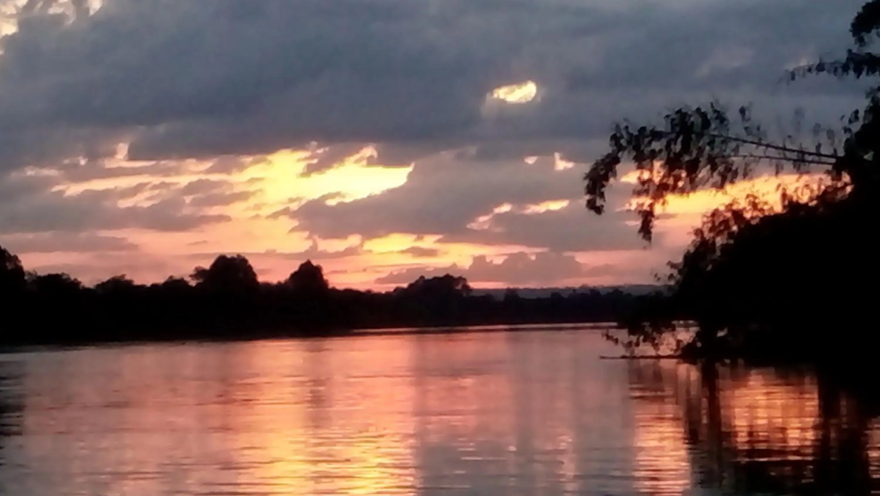 Gibbon Singing Home Stay