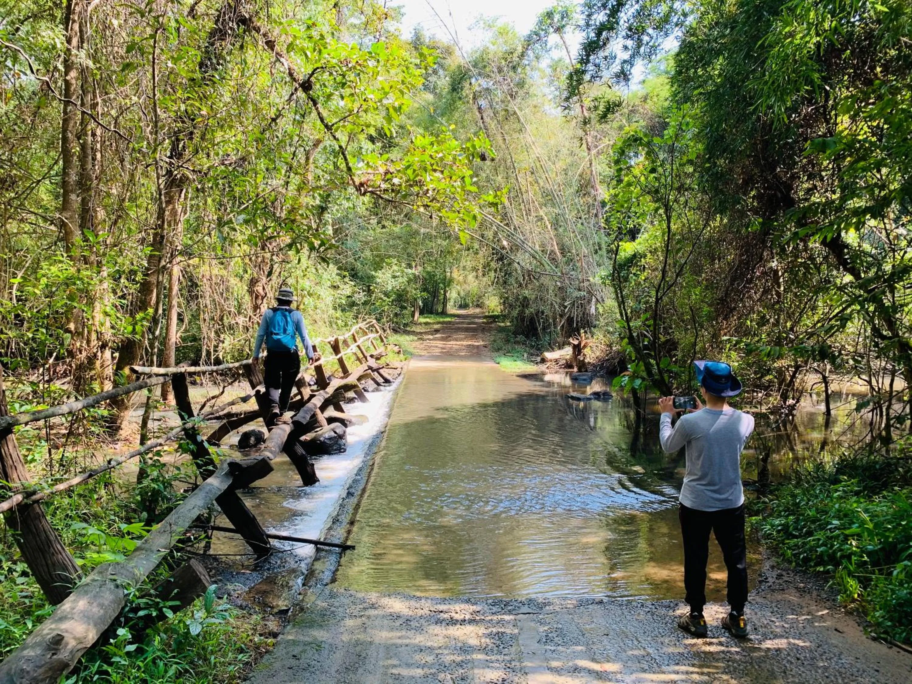 Gibbon Singing Home Stay