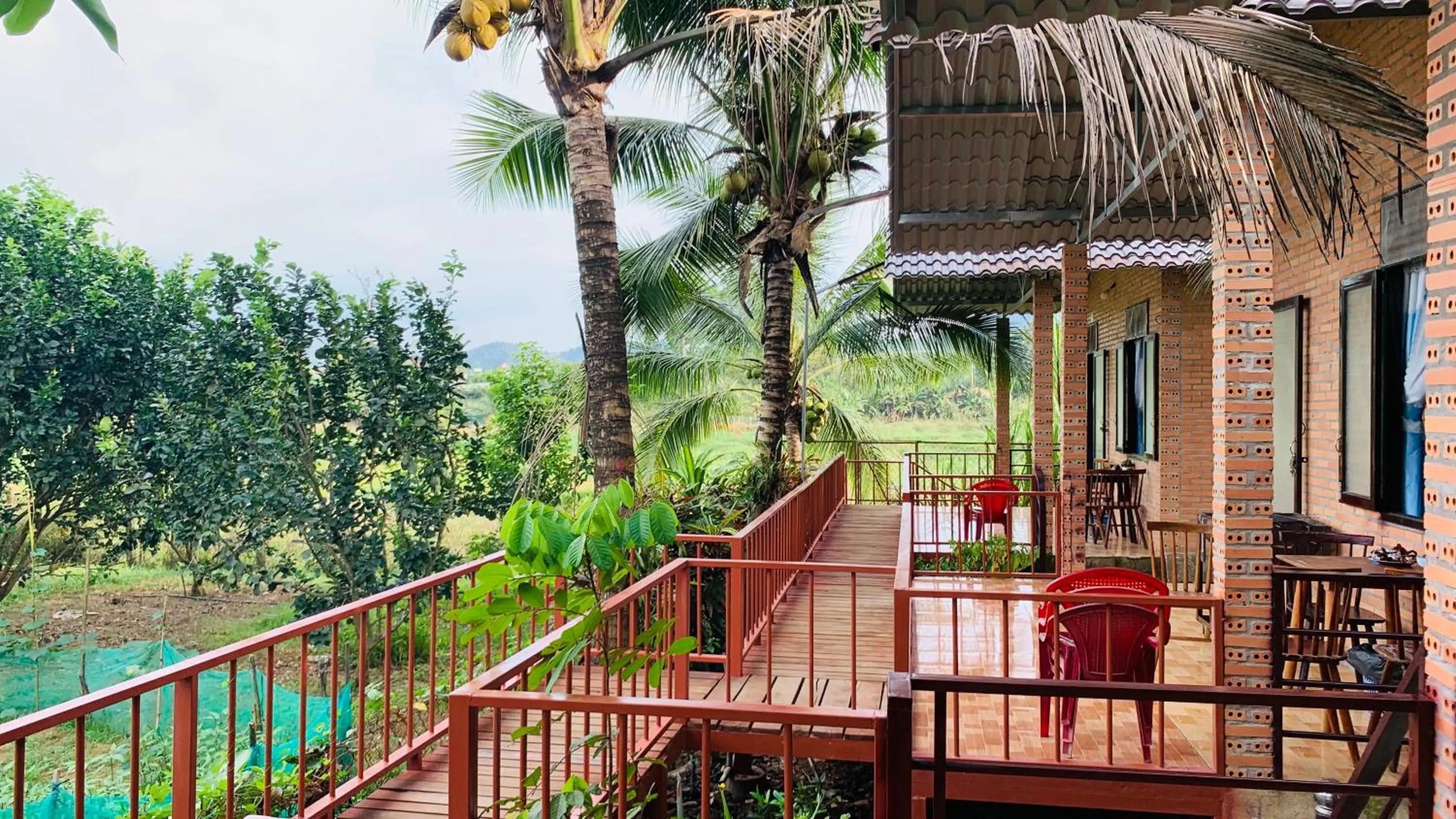 Gibbon Singing Home Stay