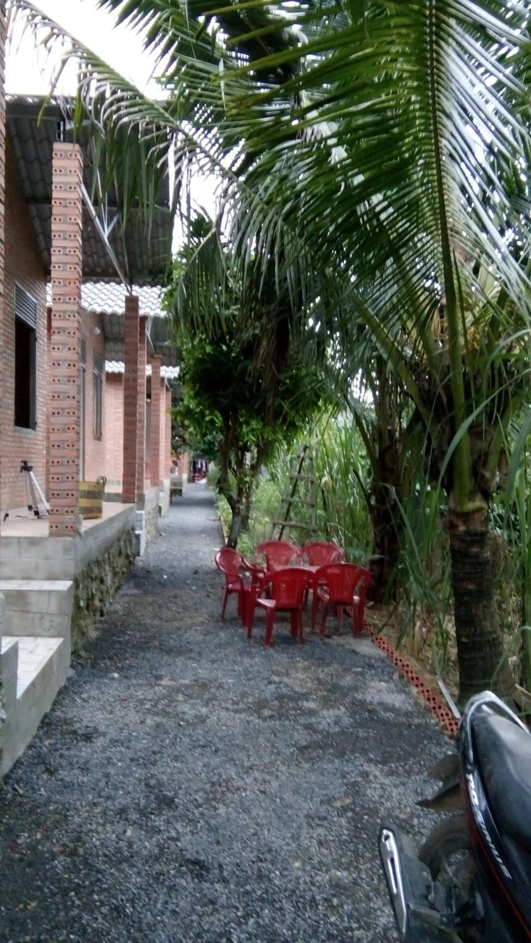 Gibbon Singing Home Stay