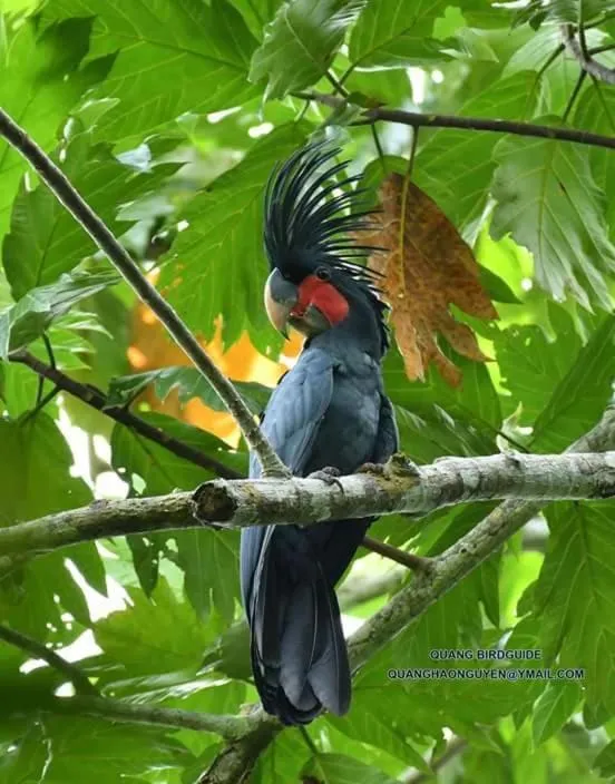 Property building in Gibbon Singing Home Stay