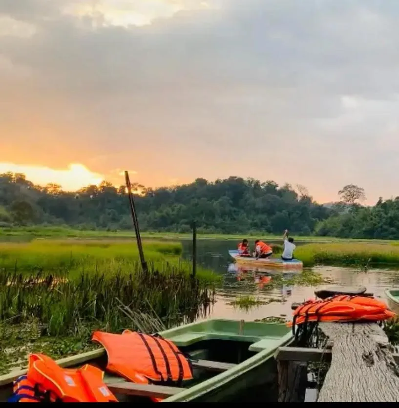 Gibbon Singing Home Stay