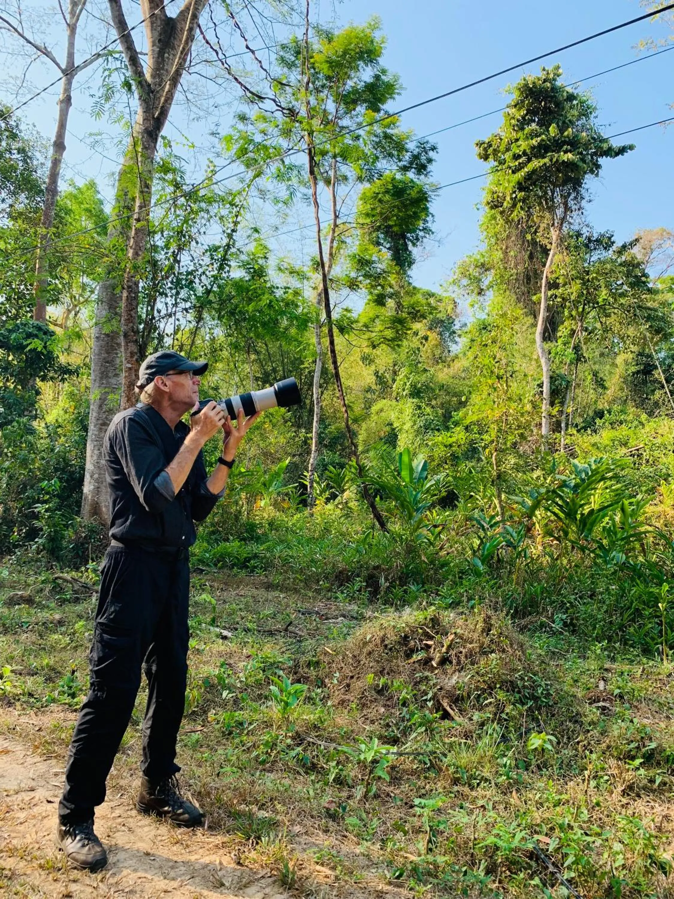 Gibbon Singing Home Stay