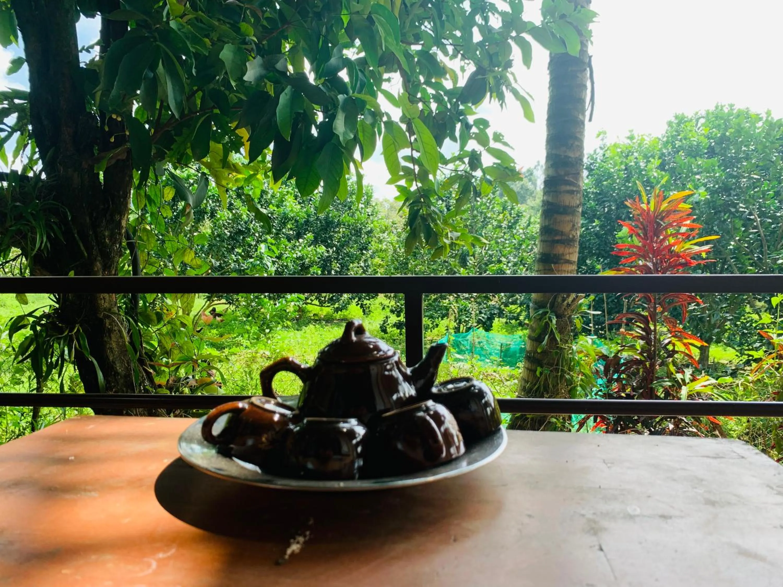 Gibbon Singing Home Stay