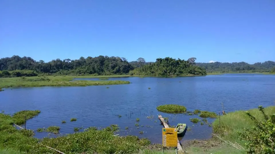 Property building in Gibbon Singing Home Stay