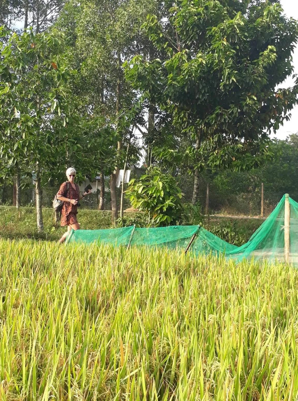 Gibbon Singing Home Stay