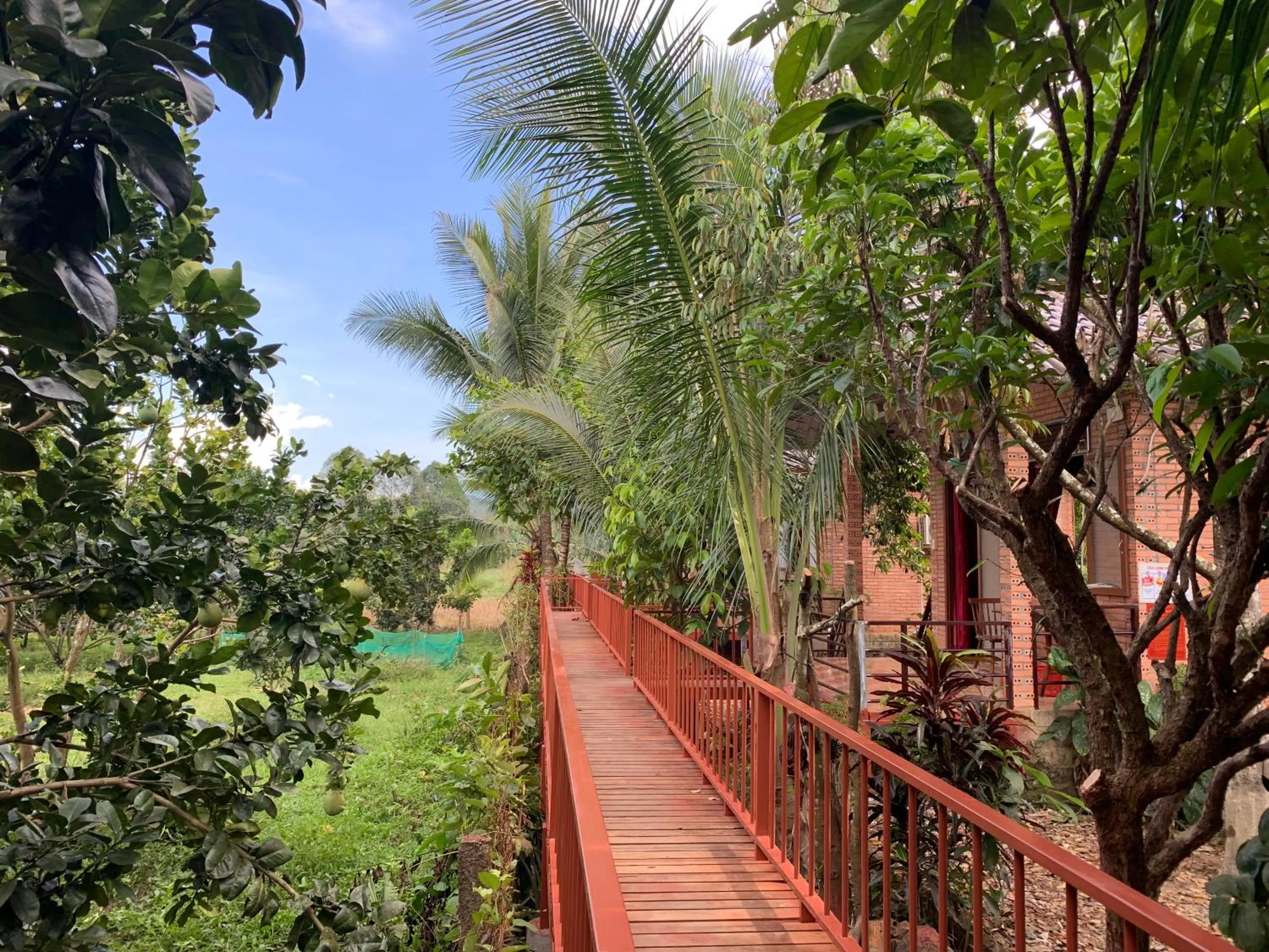 Gibbon Singing Home Stay