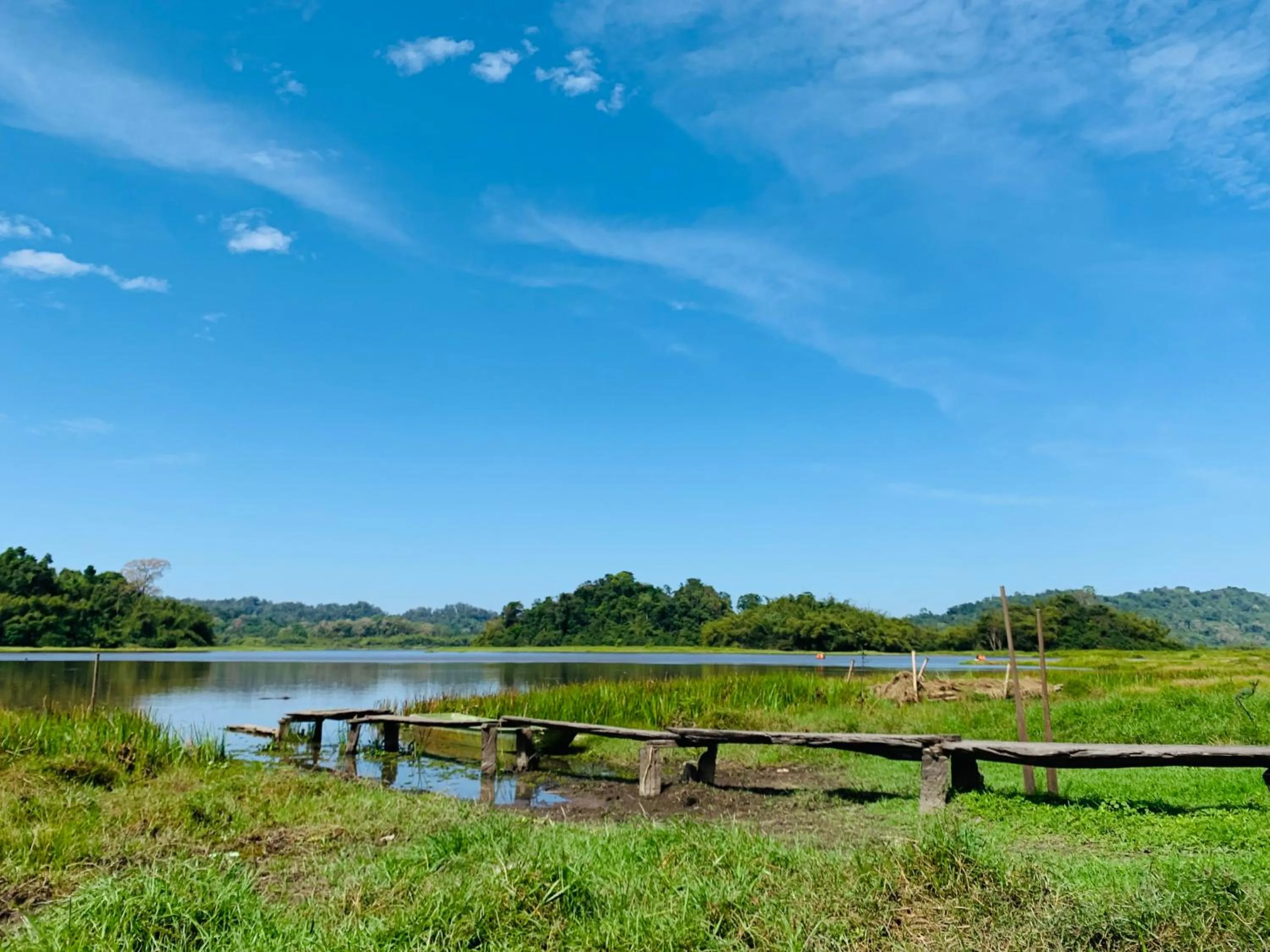 Gibbon Singing Home Stay