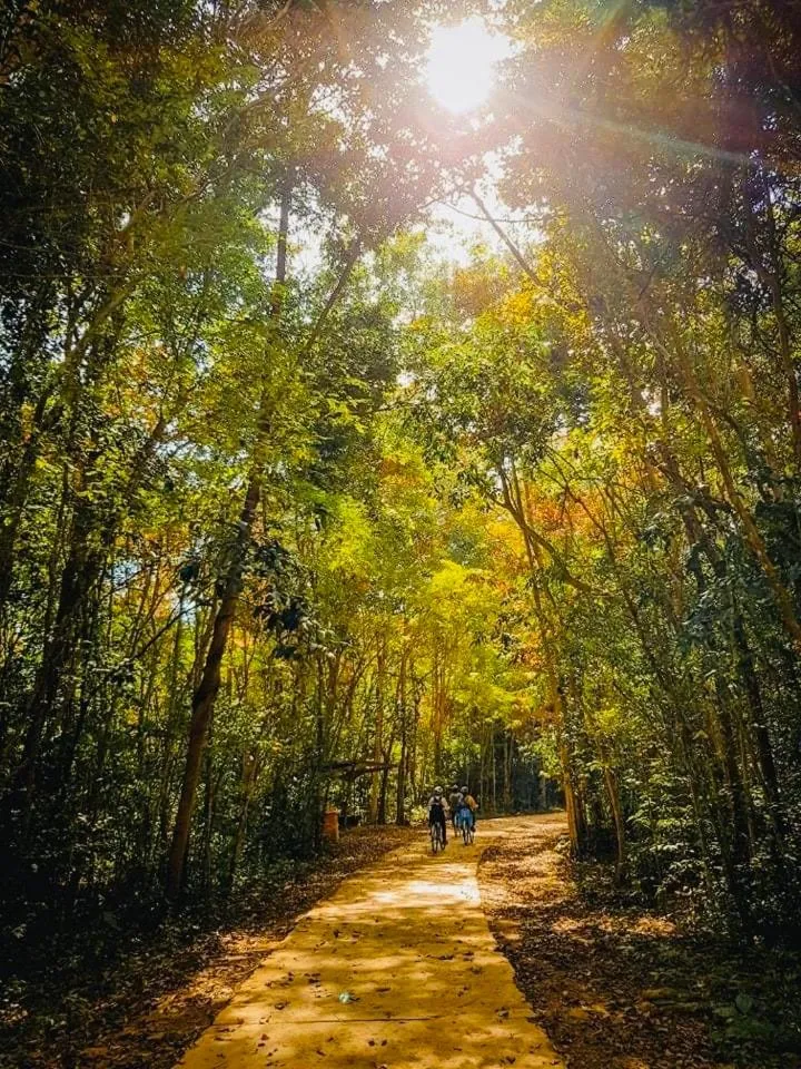 Gibbon Singing Home Stay