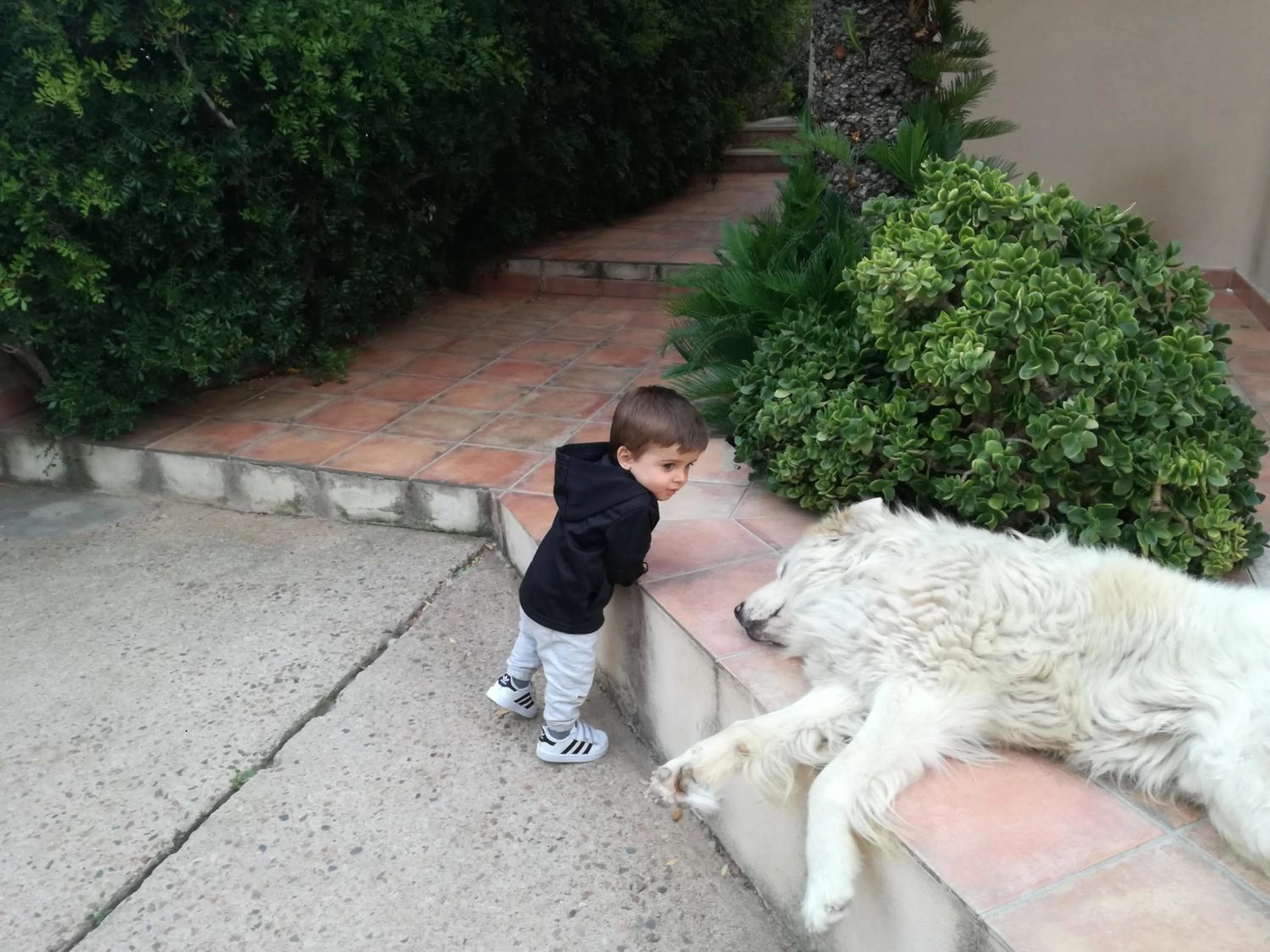 Property building in Casa Madda