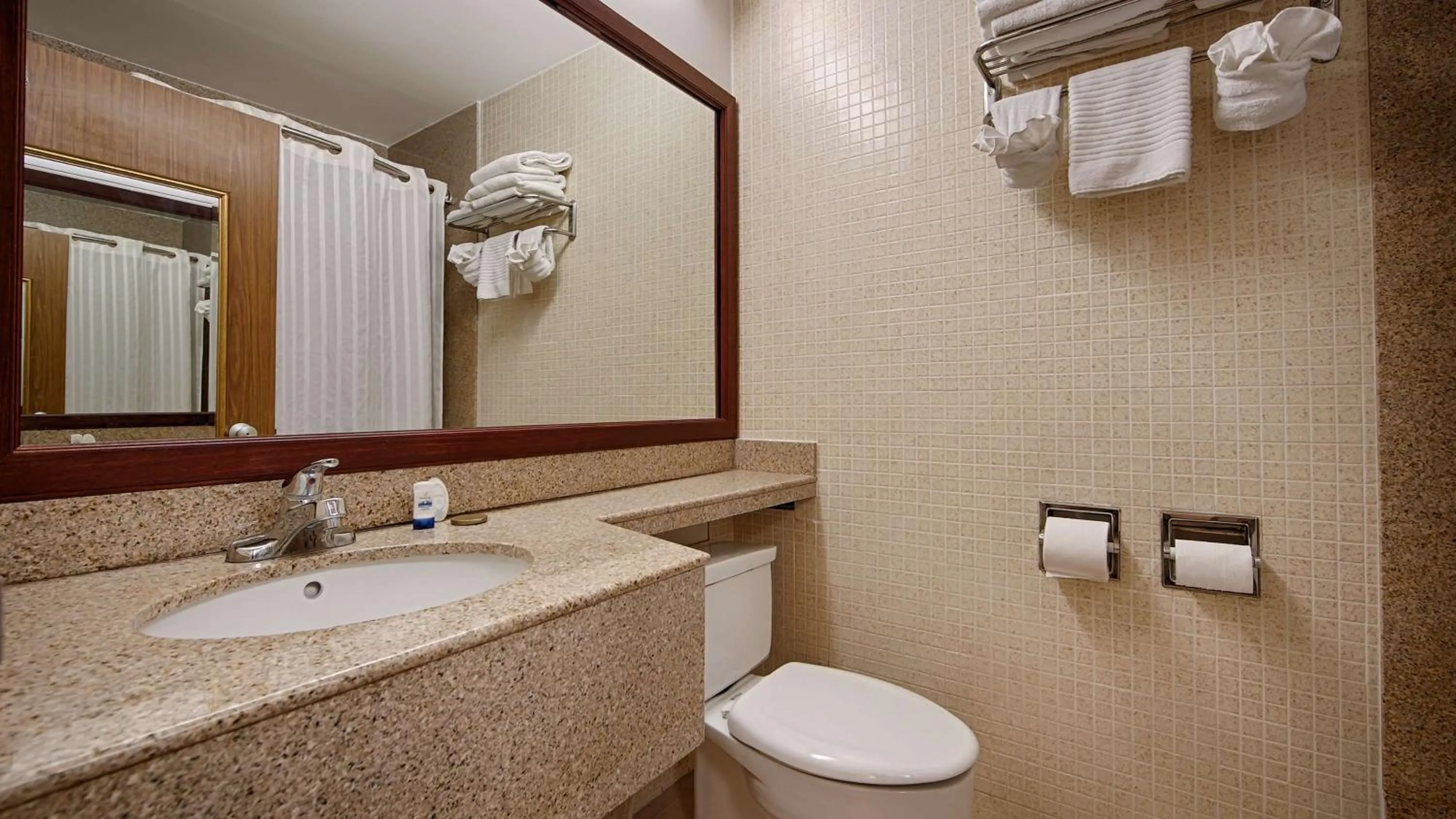 Bathroom in Best Western Orlando West