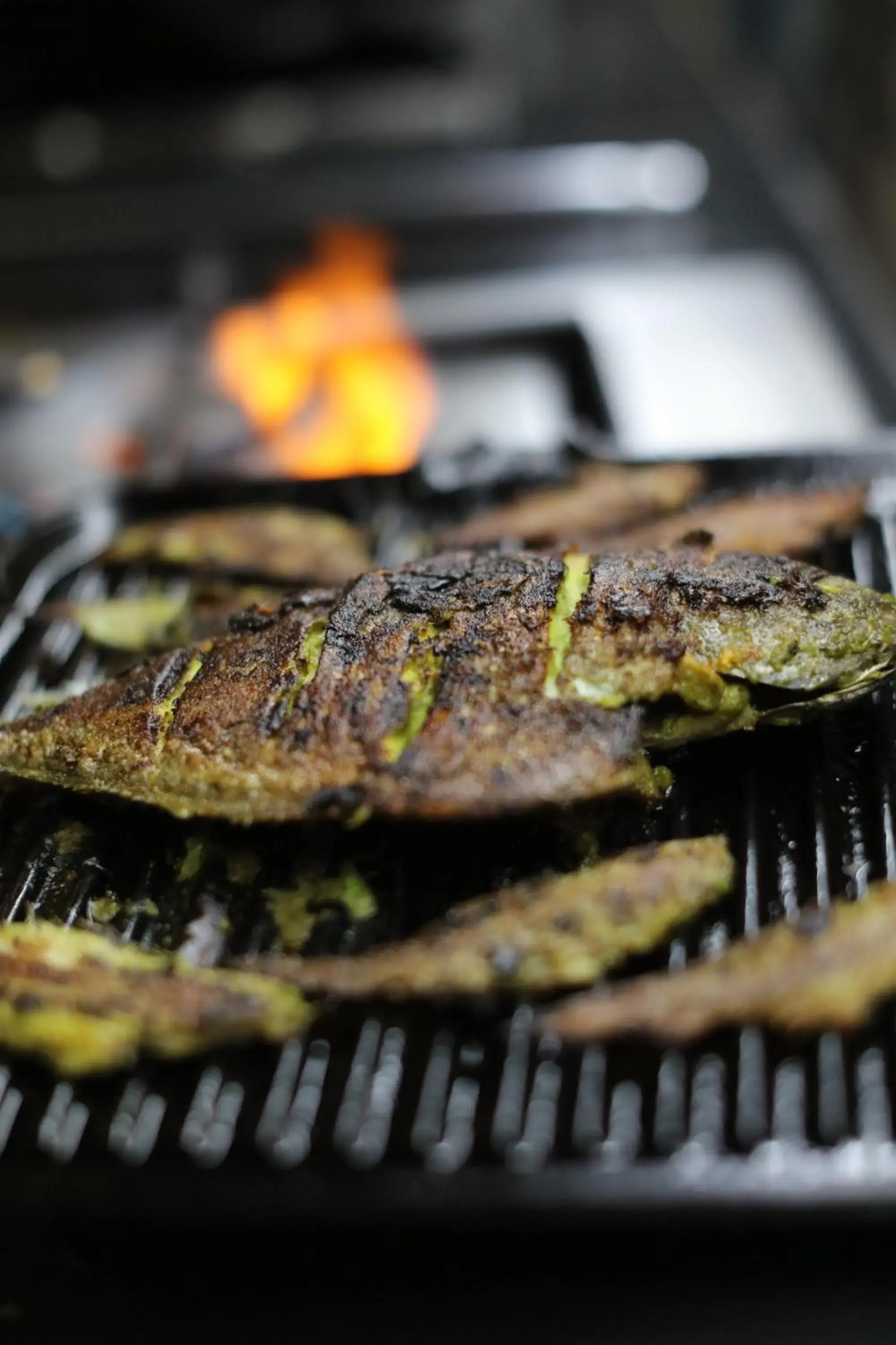 Food and drinks in The Postcard Cuelim, Goa Food and drinks in The Postcard Cuelim, Goa