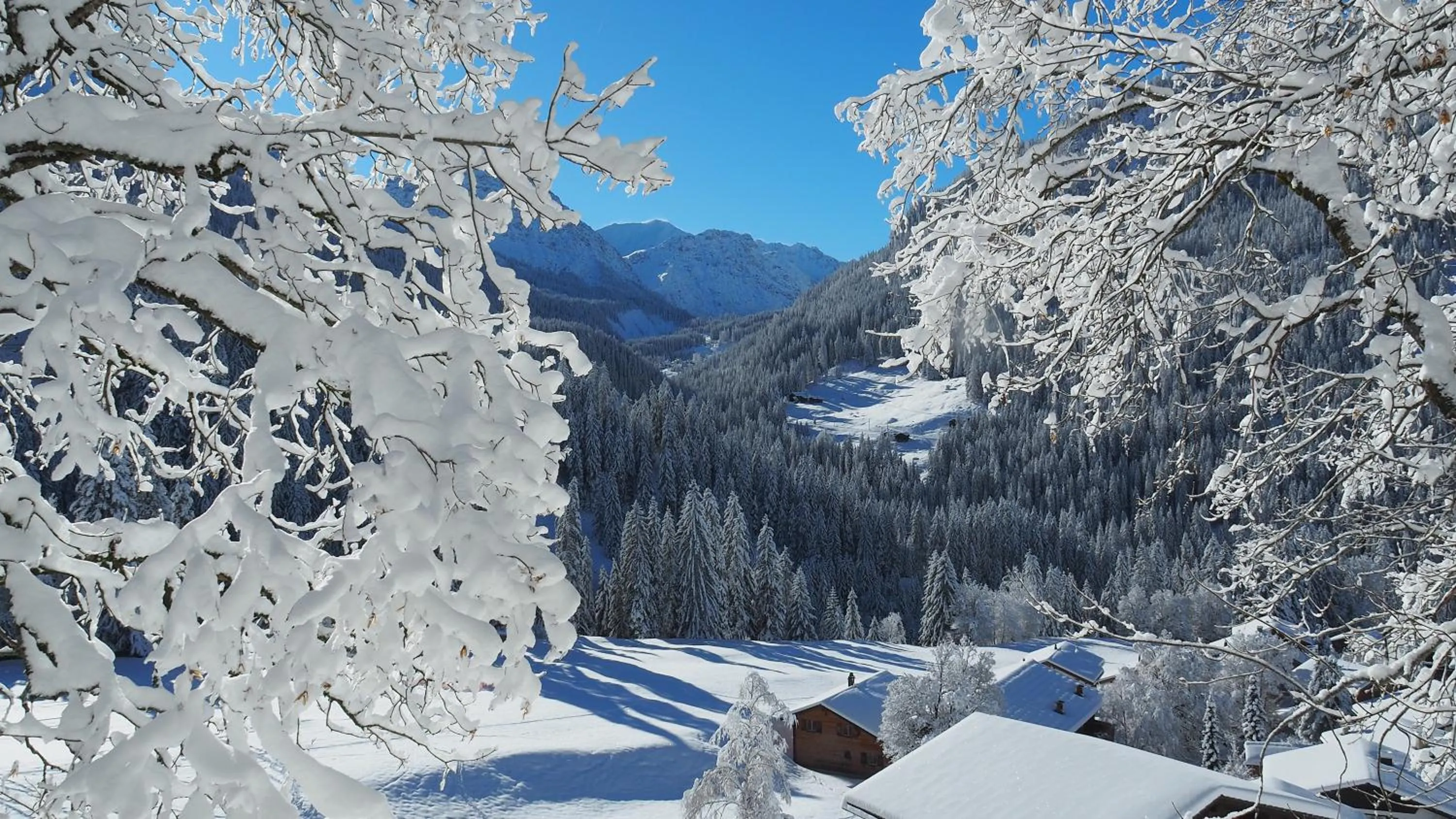 BnB Ernesto Langwies - NOT Davos