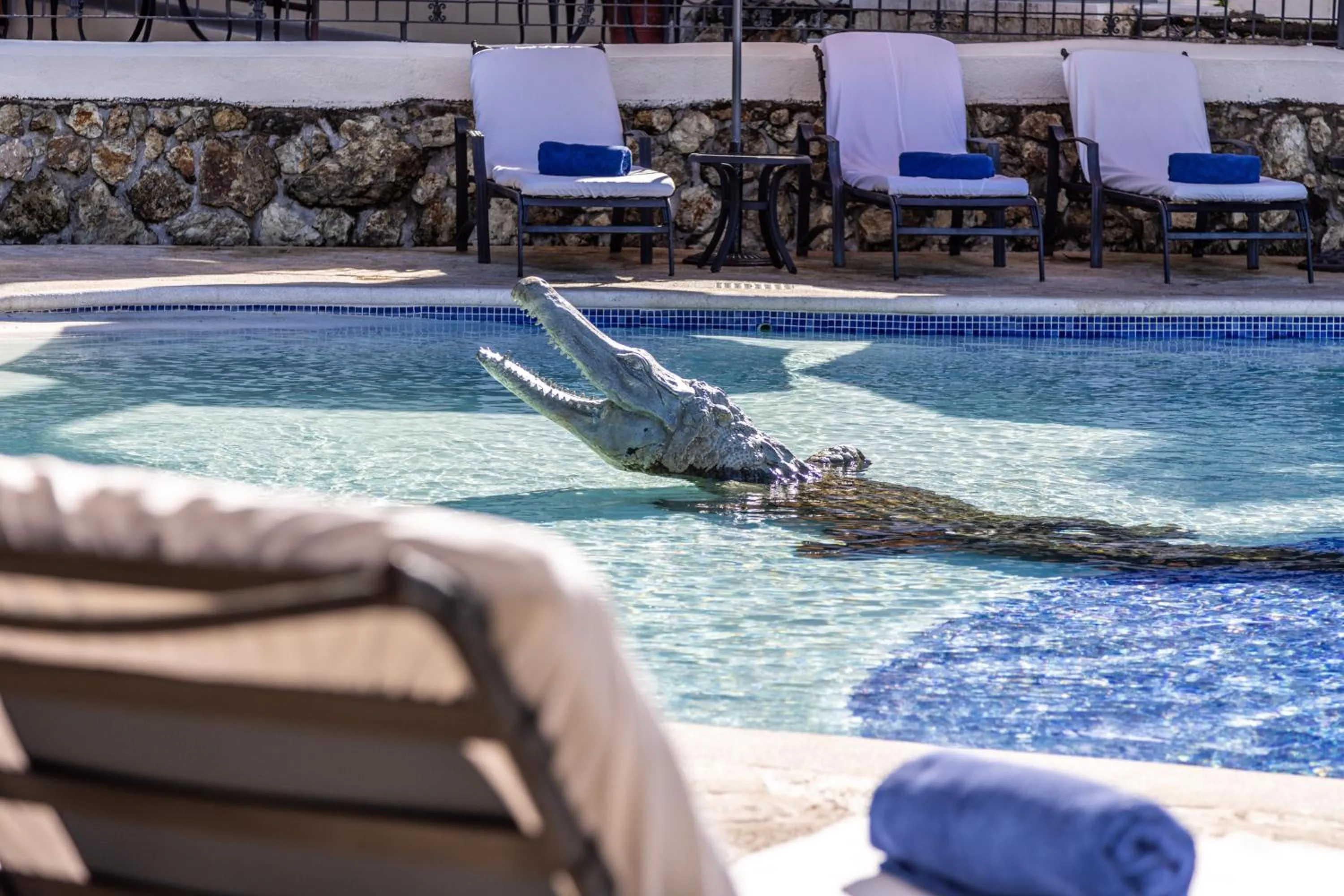 Swimming pool in Parador Nature Resort and Spa