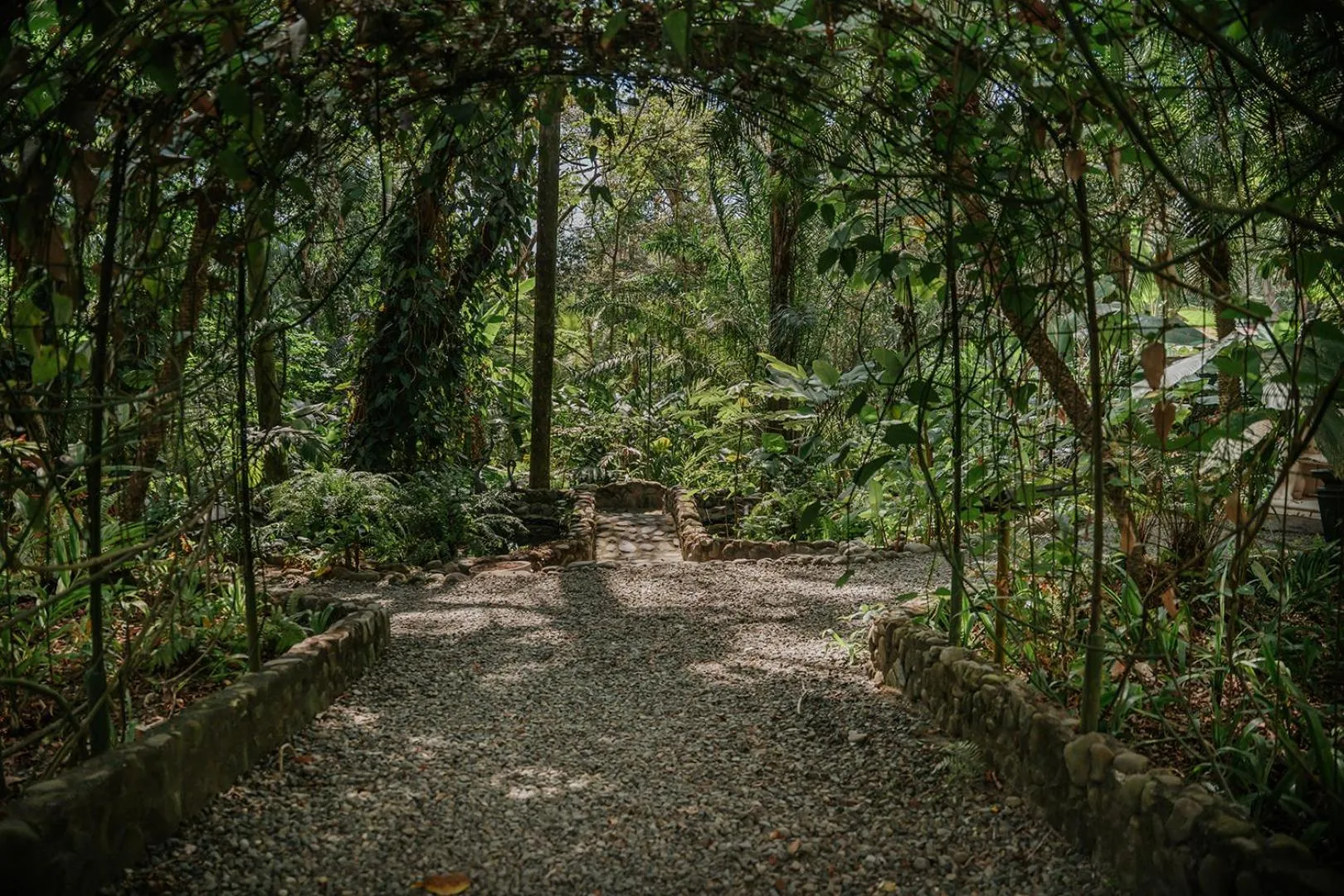 Hiking in Parador Nature Resort and Spa